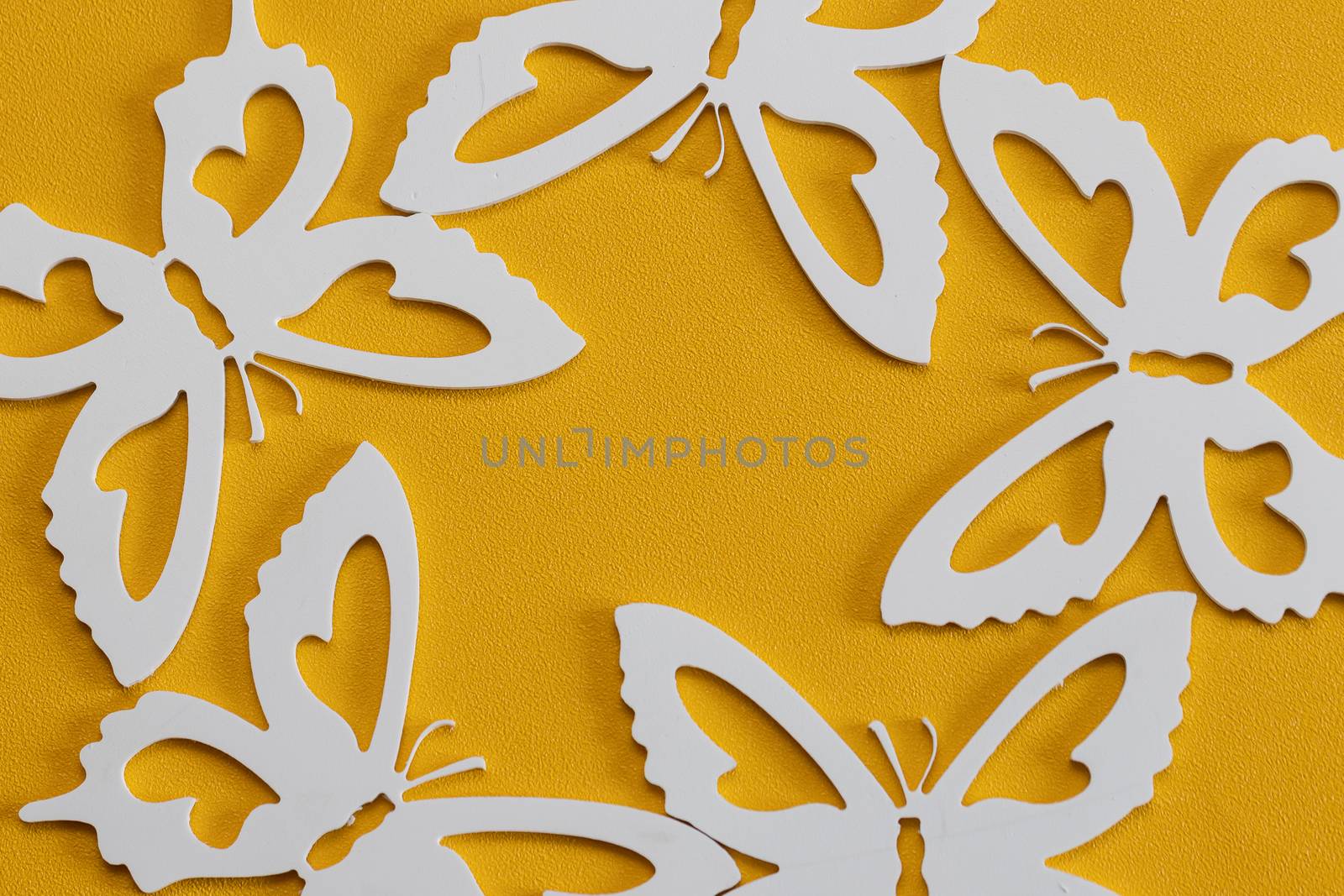 White butterflies on a yellow background, a creative minimal concept, copy space. by bonilook