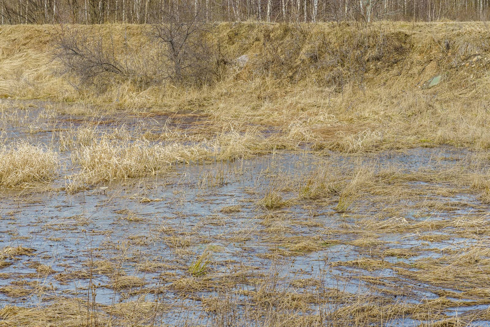 field flooded with water during the spring flood of rivers by VADIM