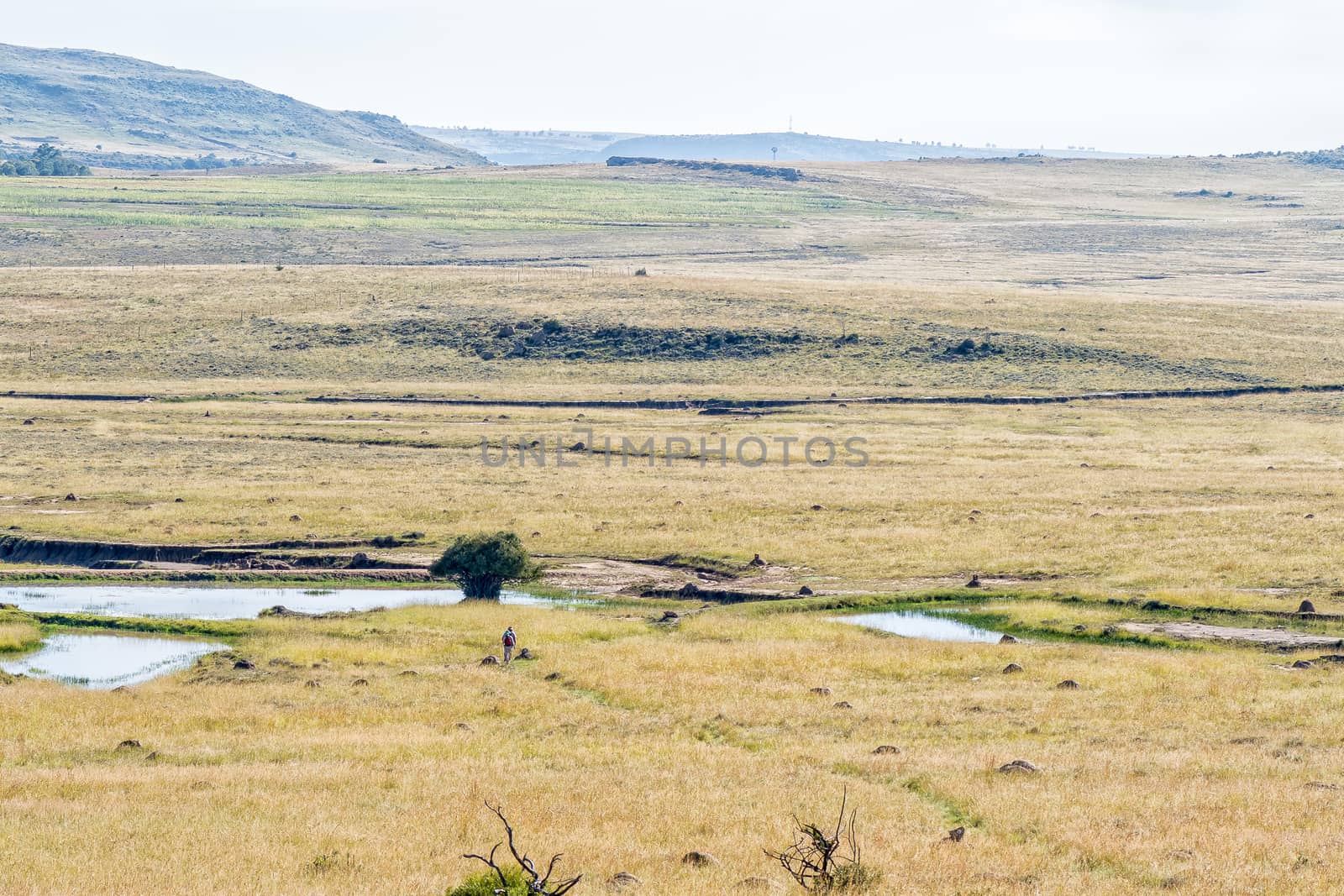 Hikers on the Eland Hiking Trail at Einged by dpreezg