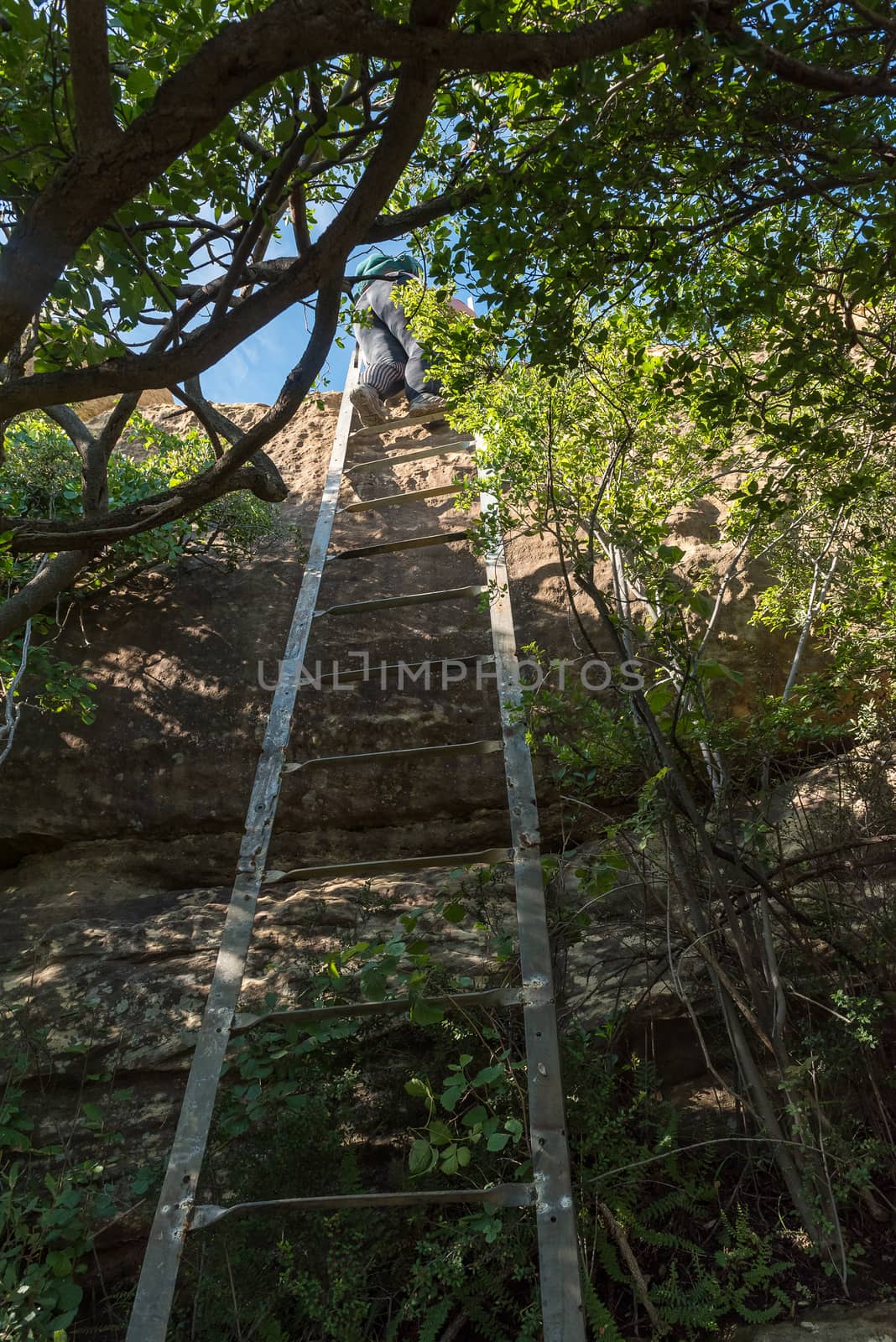 Hiker on ladder on the Eland Hiking Trail at Eingedi by dpreezg