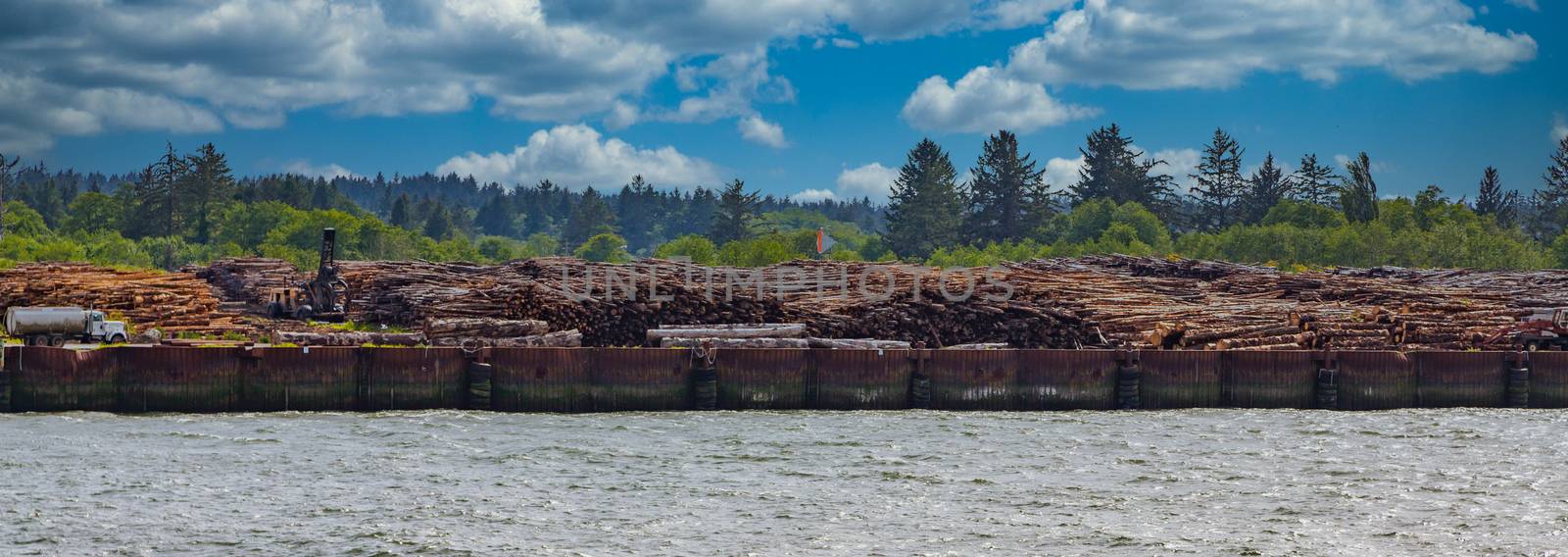 Massive Logging Operation on Oregon Coast