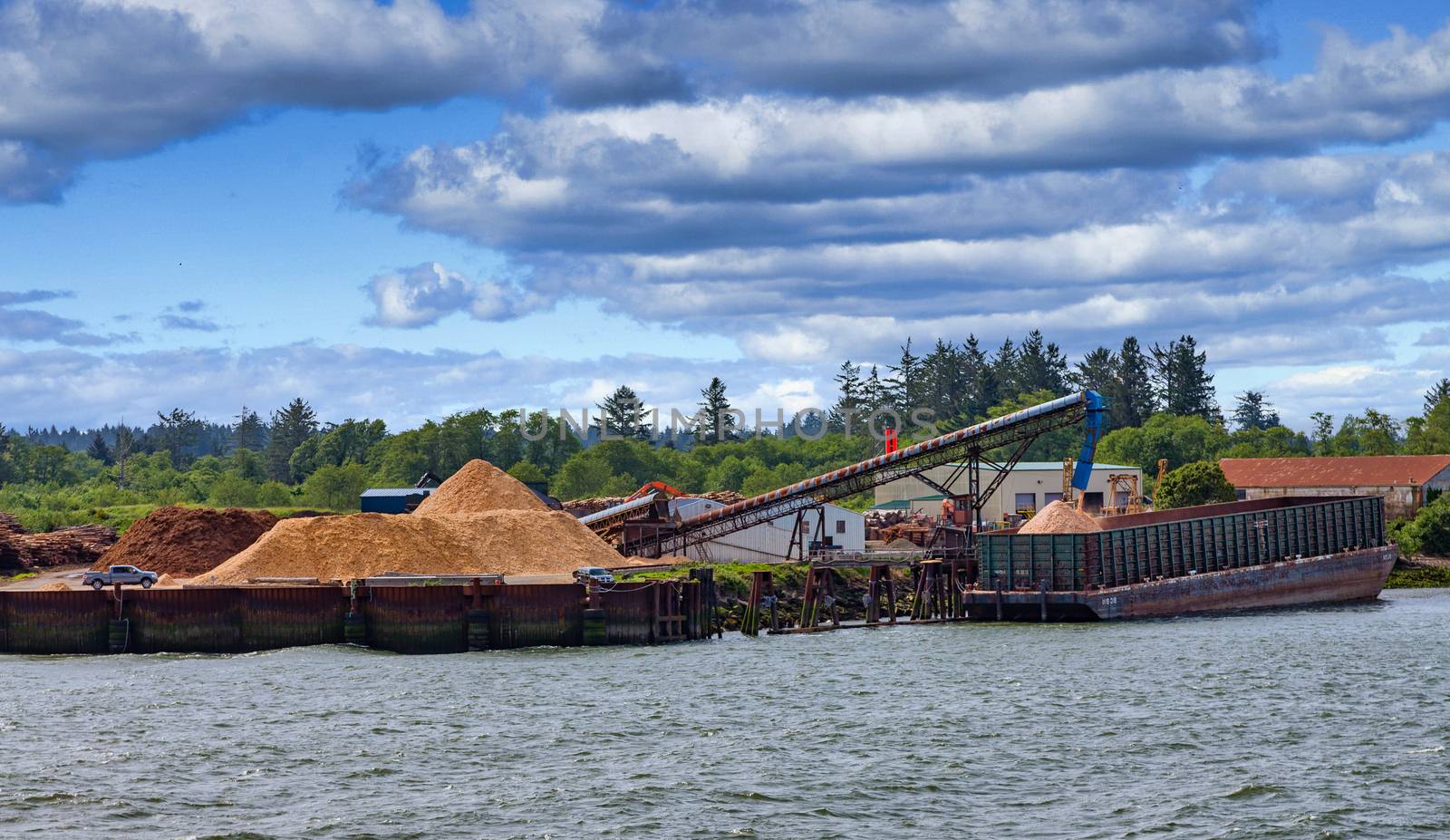 Mountain of Sawdust at Logging Operation in Oregon