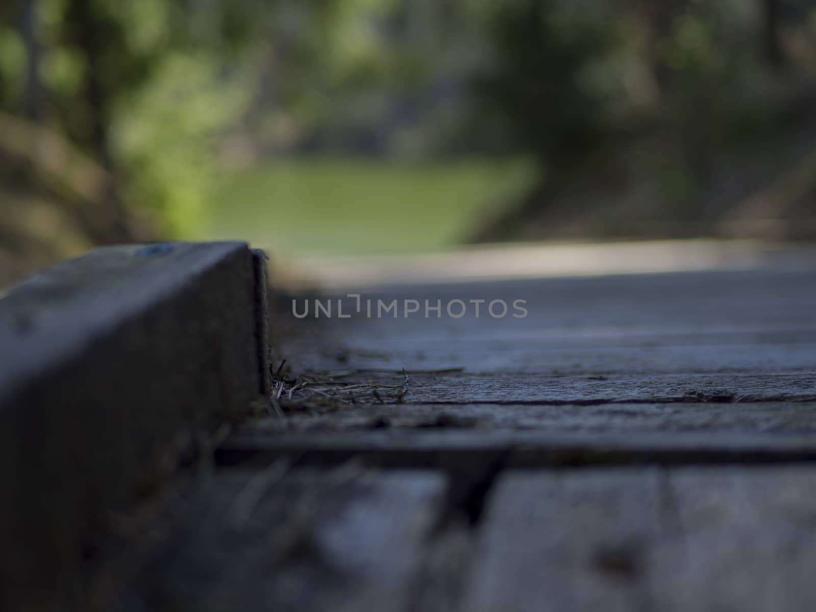 selective focus. wooden boardwalk near the lake surrounded by bare trees. Summer vacation background. Empty wooden pier with green lake in the background