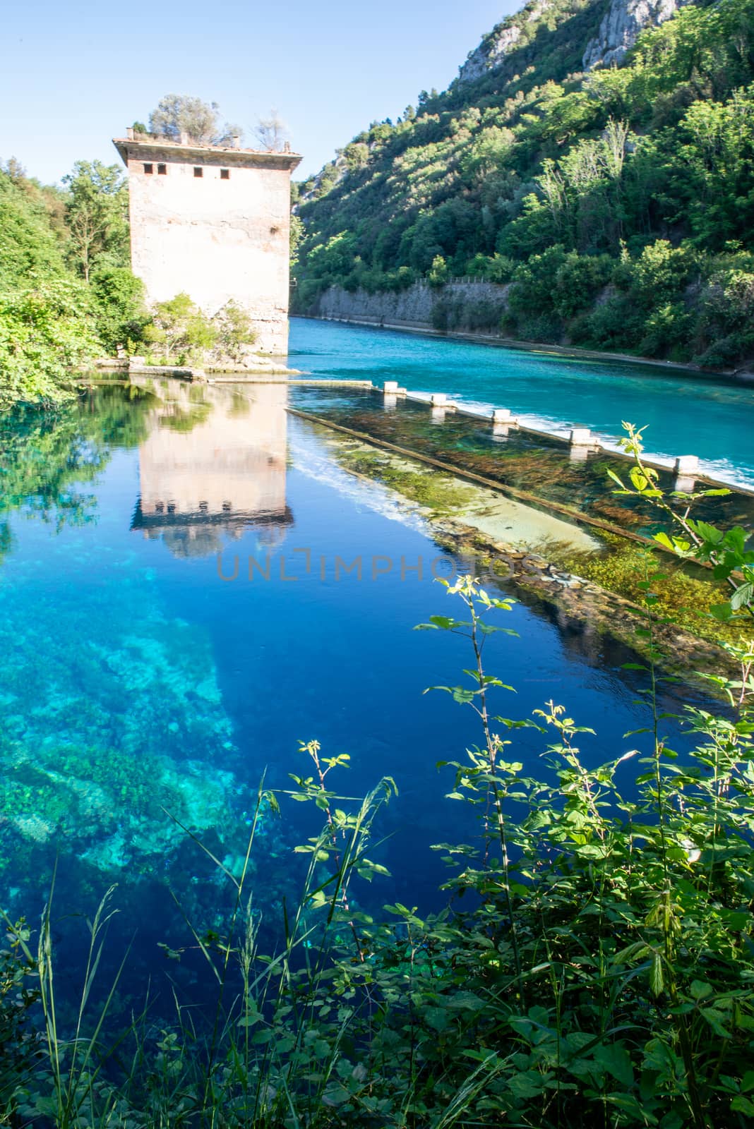 mole of the country of blue water stifone by carfedeph