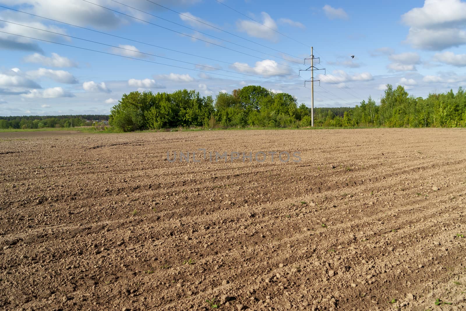 Plowed field, power line, trees and blue sky with clouds