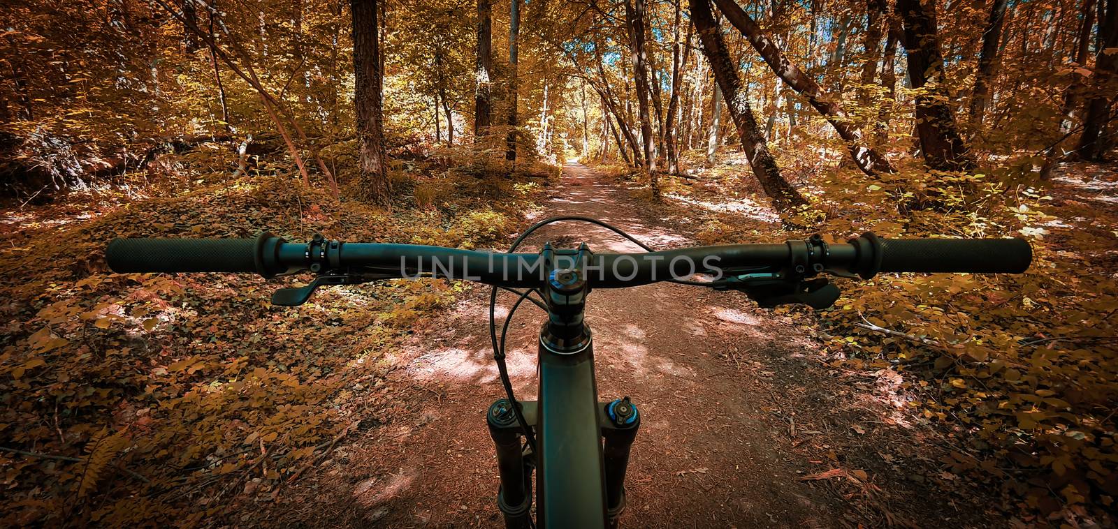 Beautiful autumn mountain bike trail seen from the eyes of a biker, with a mountain bike handlebars in the foreground. Mountain biking concept. Freedom and recreation concept.