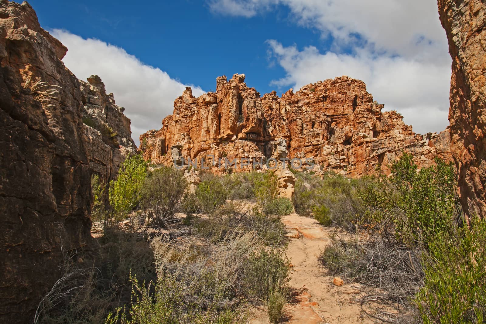 A scene of highly eroded sandstone formations in the Cederberg Wilderness Area, Western Cape. South Africa