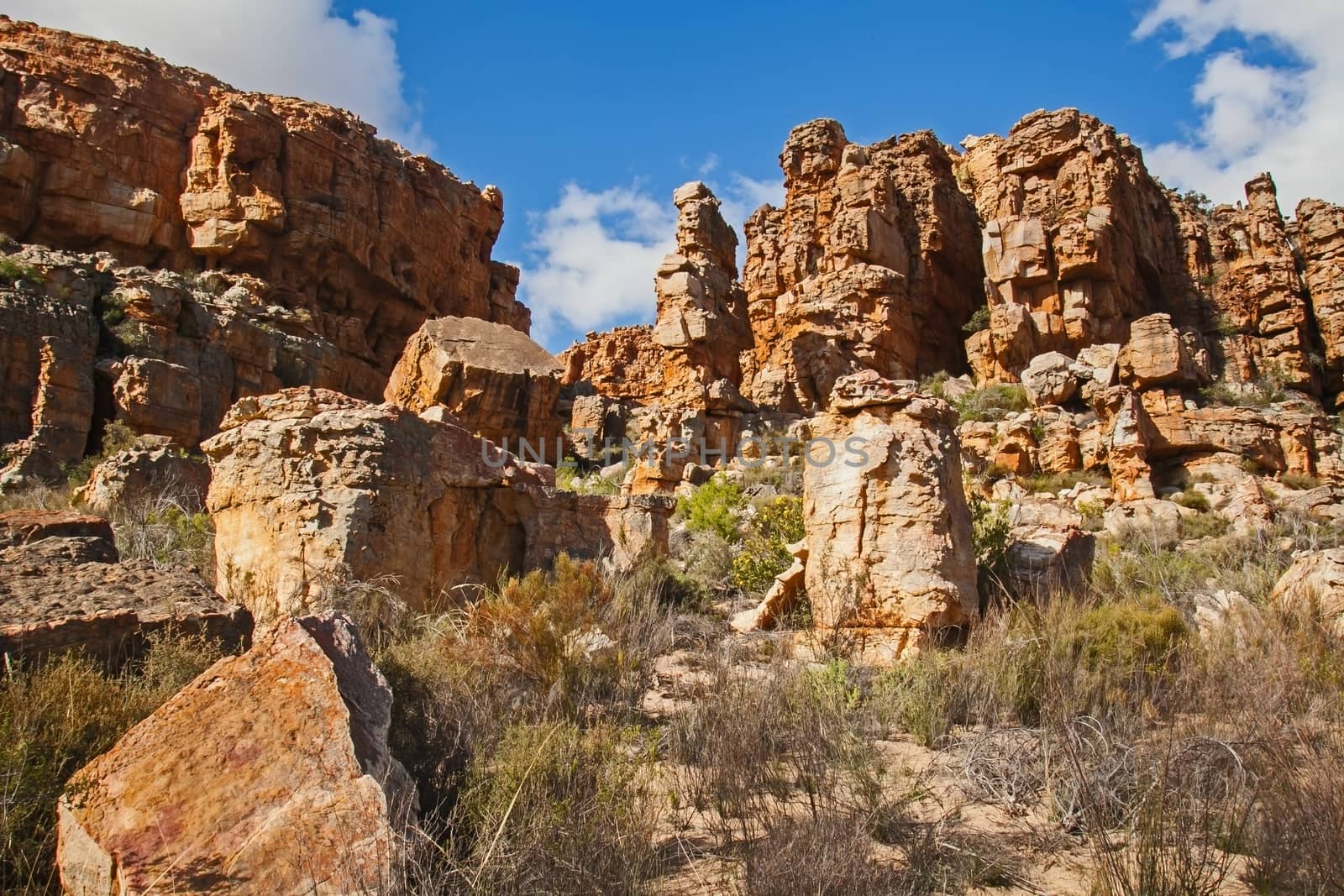 A scene of highly eroded sandstone formations in the Cederberg Wilderness Area, Western Cape. South Africa