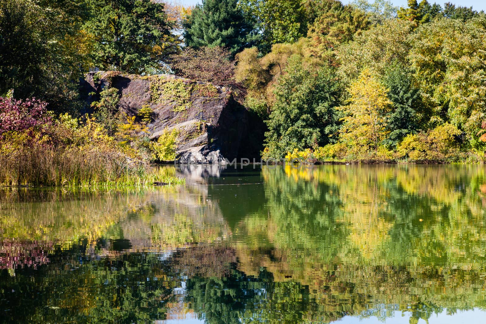 The view across Turtle Pond in Central Park, New York City on a still autumn morning.