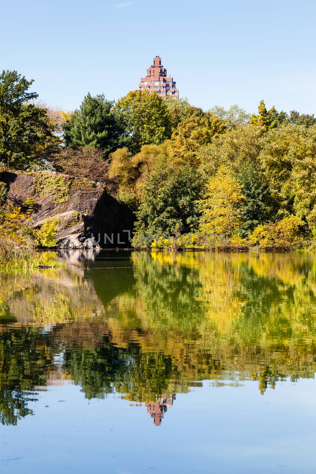 The view across Turtle Pond in Central Park, New York City on a still autumn morning.