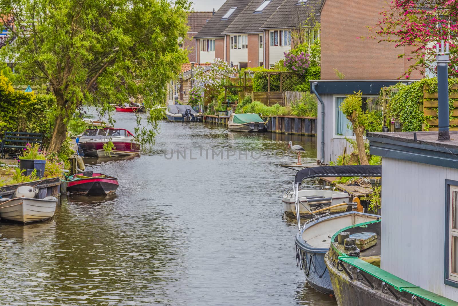 Typical landscape on a canal with its boats and moorings on the outskirts of the town of Alkmaar. netherlands holland