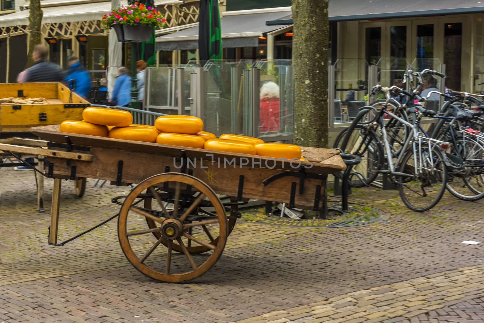 Old transport cart full of cheeses in the market of the Alkmaar Fridays. netherlands holland