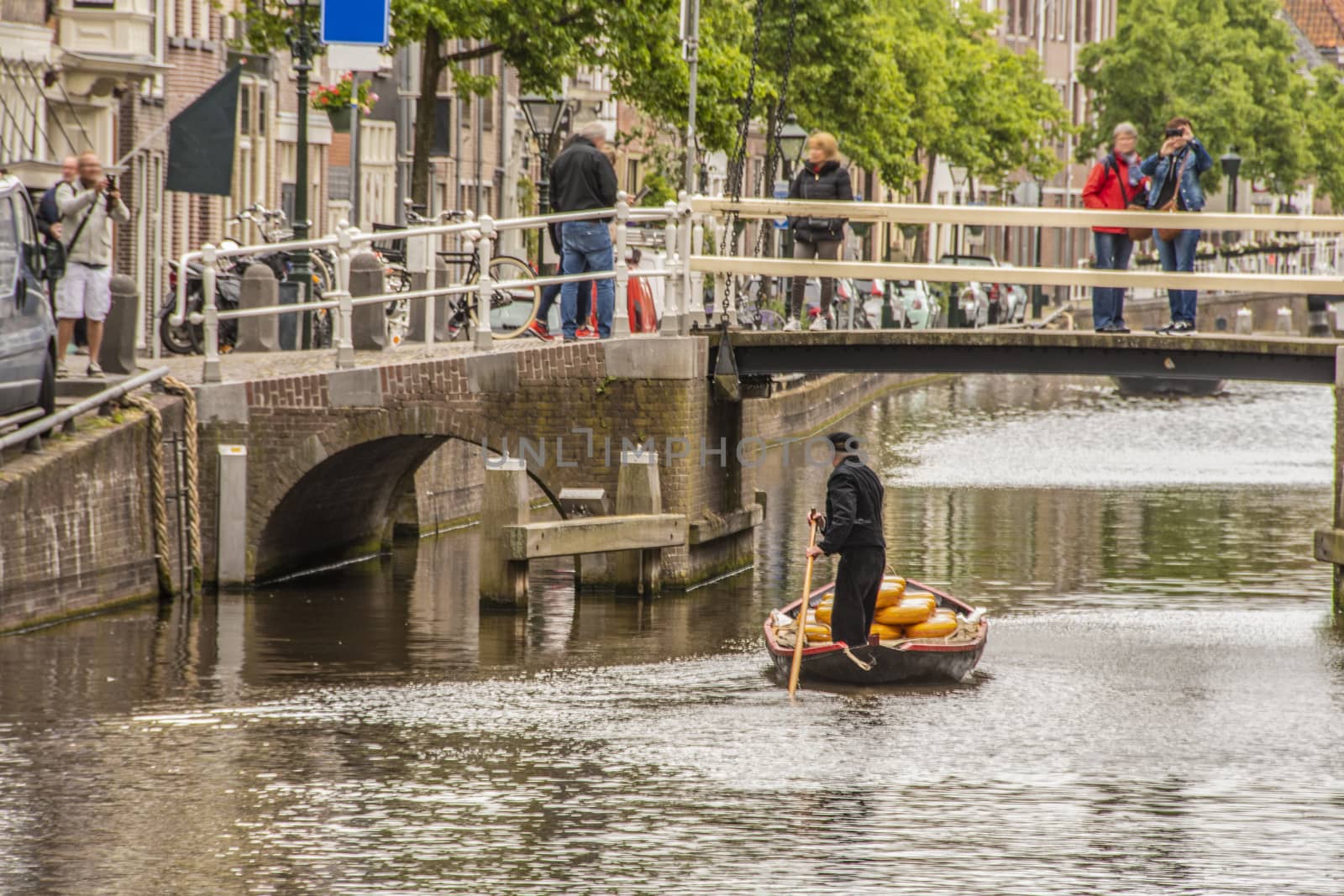 a boat with cheeses in alkmaar goes away towards the market of Fridays. netherlands holland
