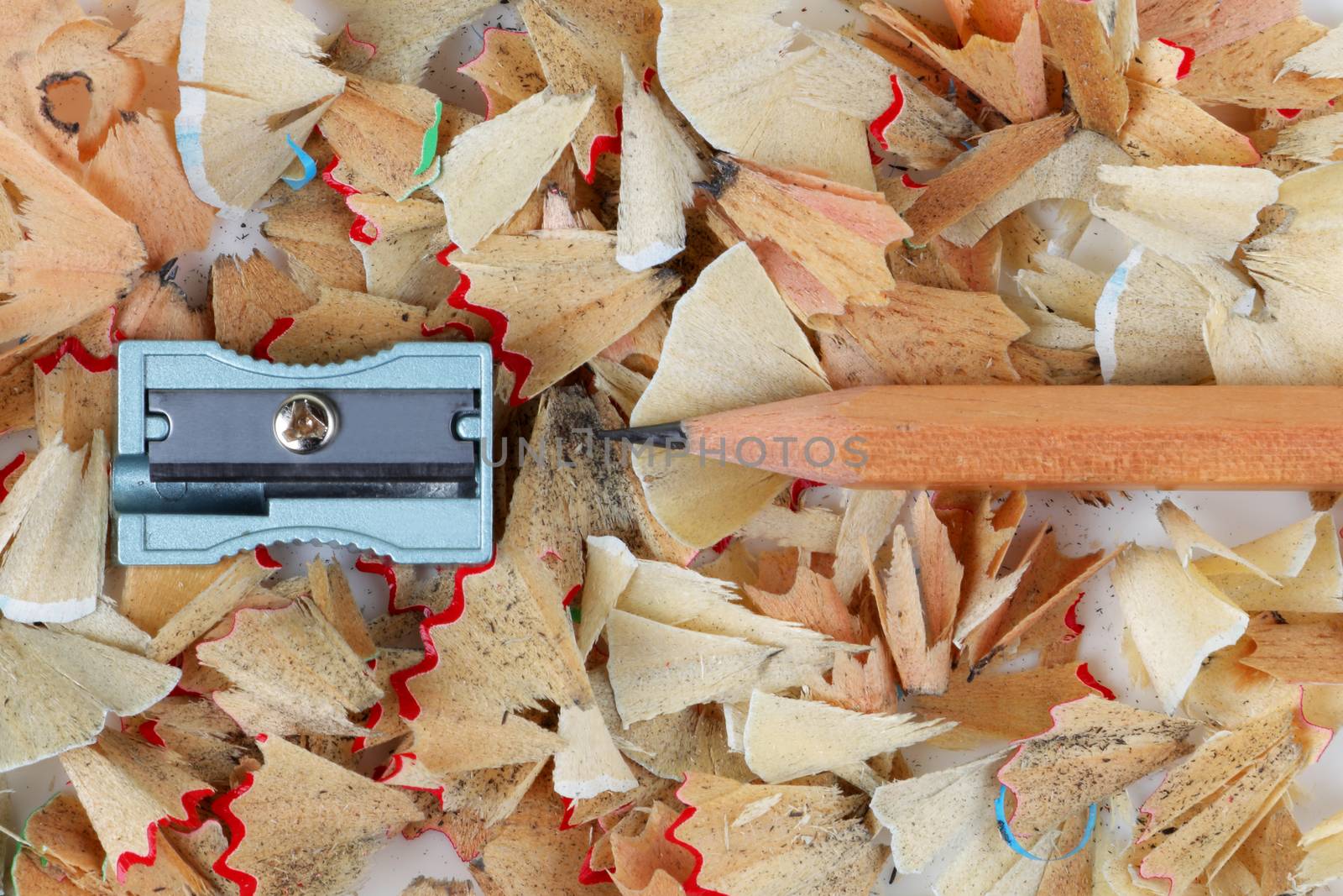 A sharpened brown pencil and sharpener on shavings