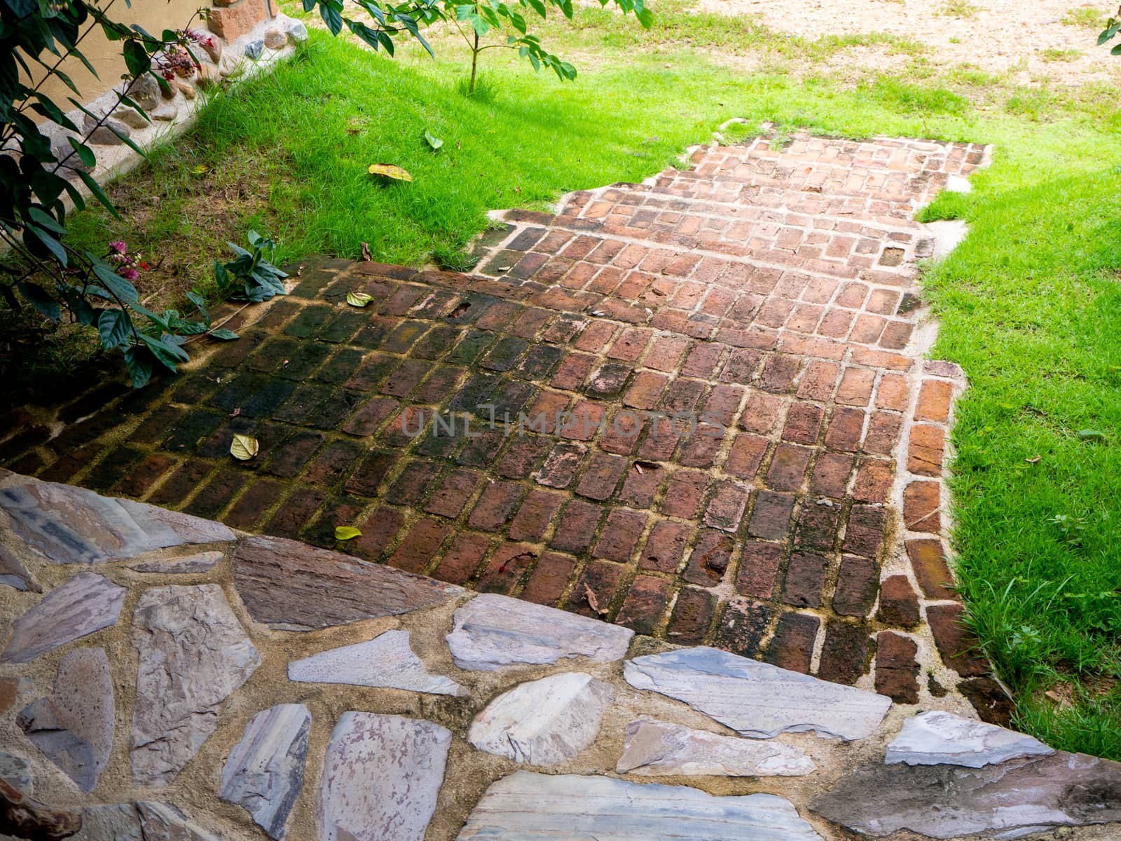 Beautiful pathway in a park in summer, Landscape with scenic winding footpath in sunlight. Stone overgrown path in sunny garden