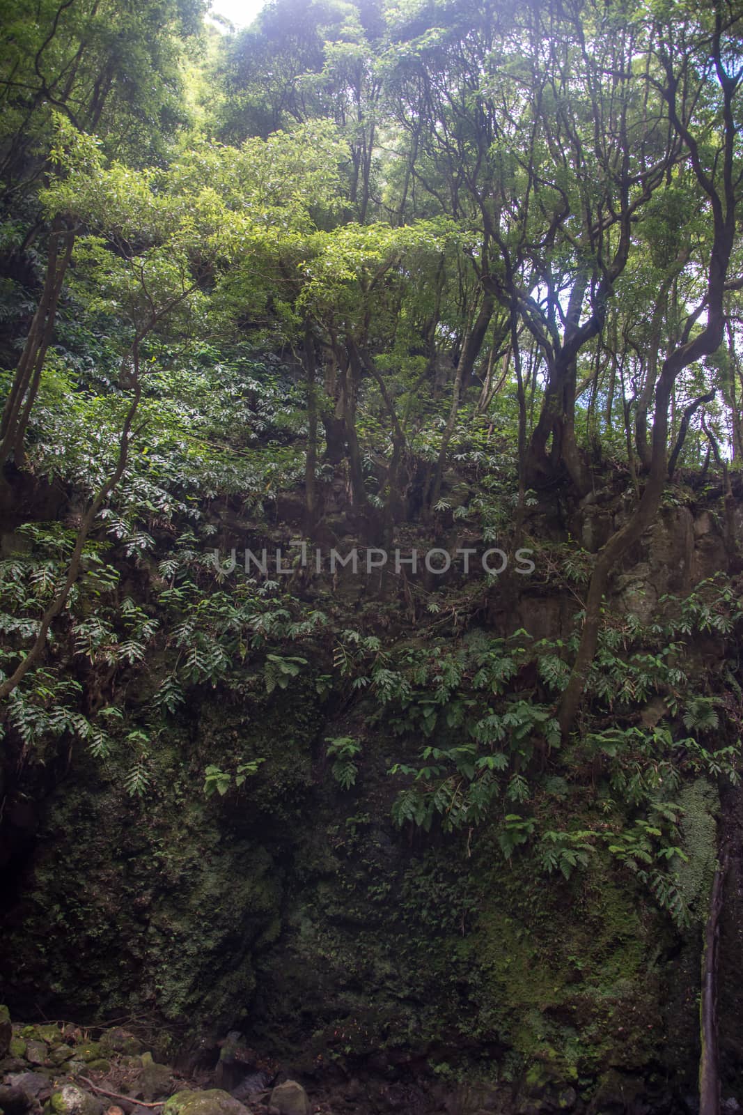 walk and discover the prego salto waterfall on the island of sao miguel, azores, Portugal.