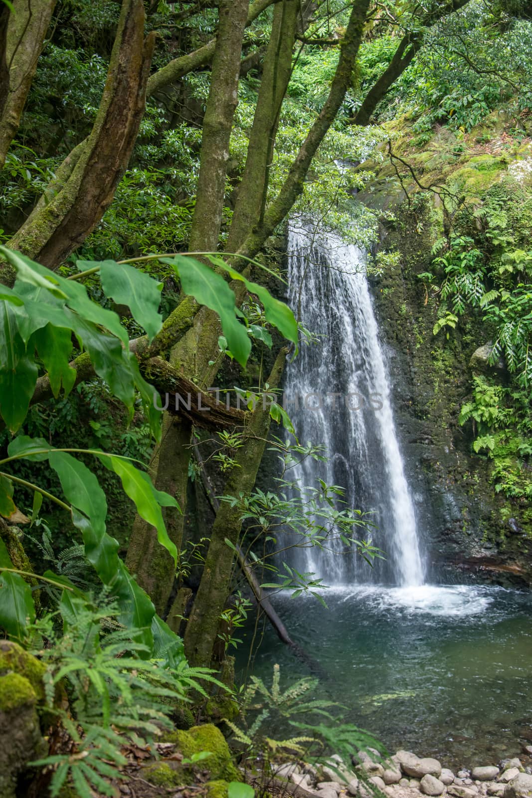 walk and discover the prego salto waterfall on the island of sao miguel, azores, Portugal.