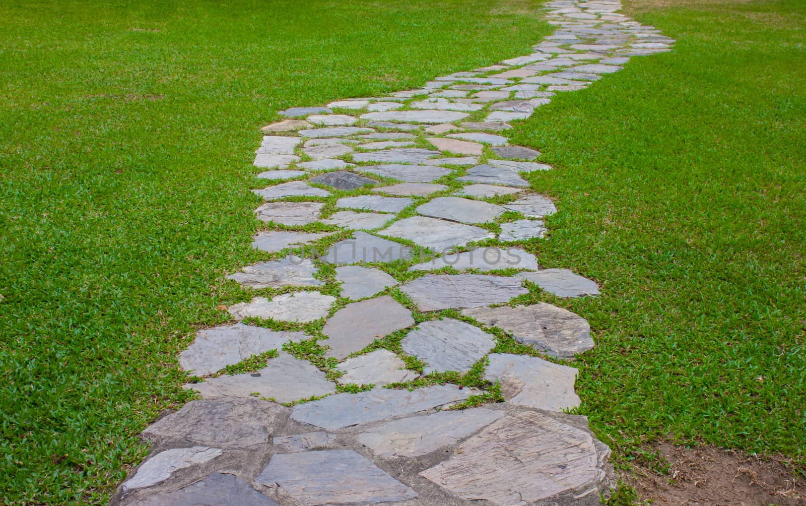 Stone way on green grass