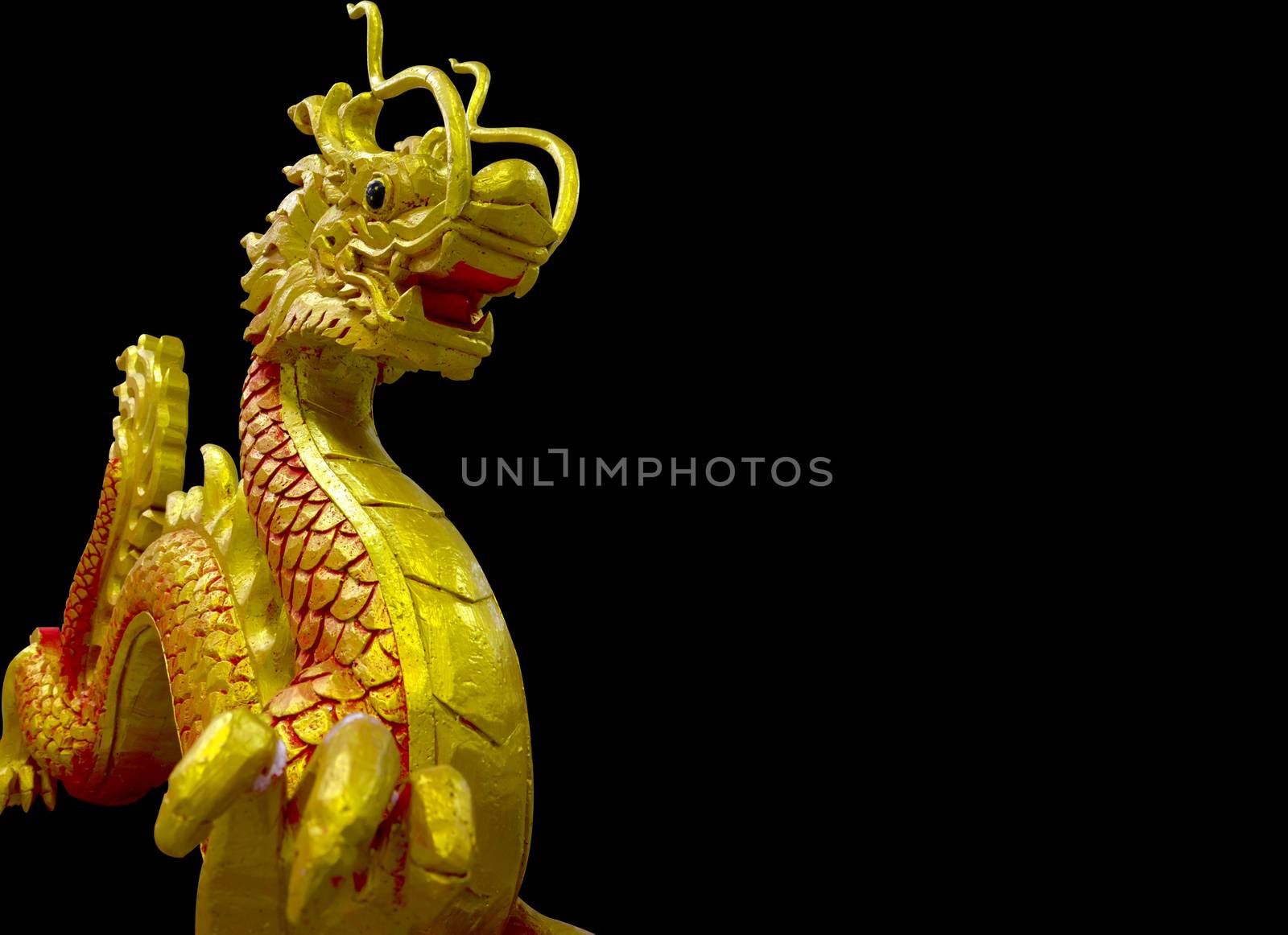 golden Chinese dragon on black background by shutterbird