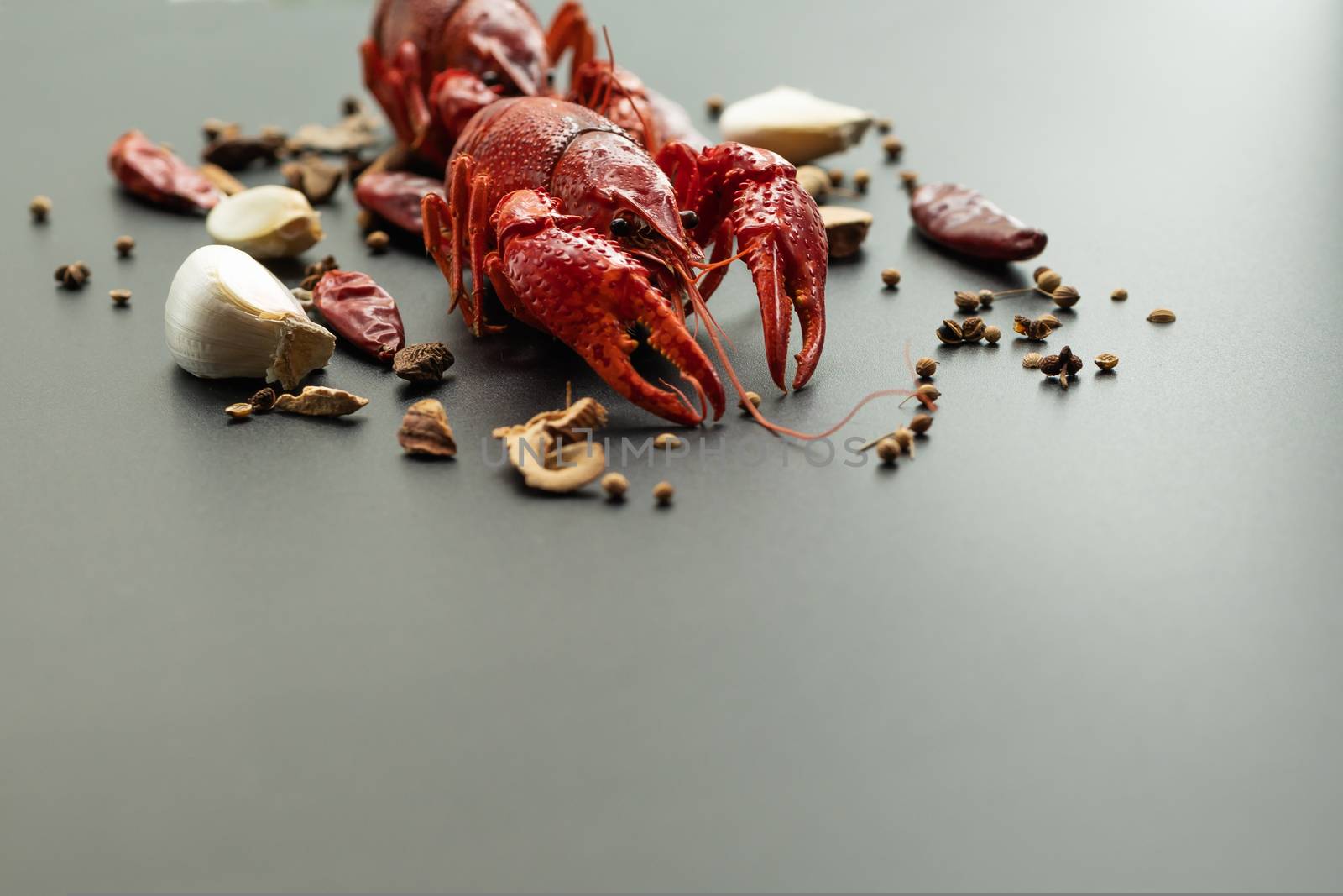 Crayfish red, Baby Lobster with herb for stir fry on black background