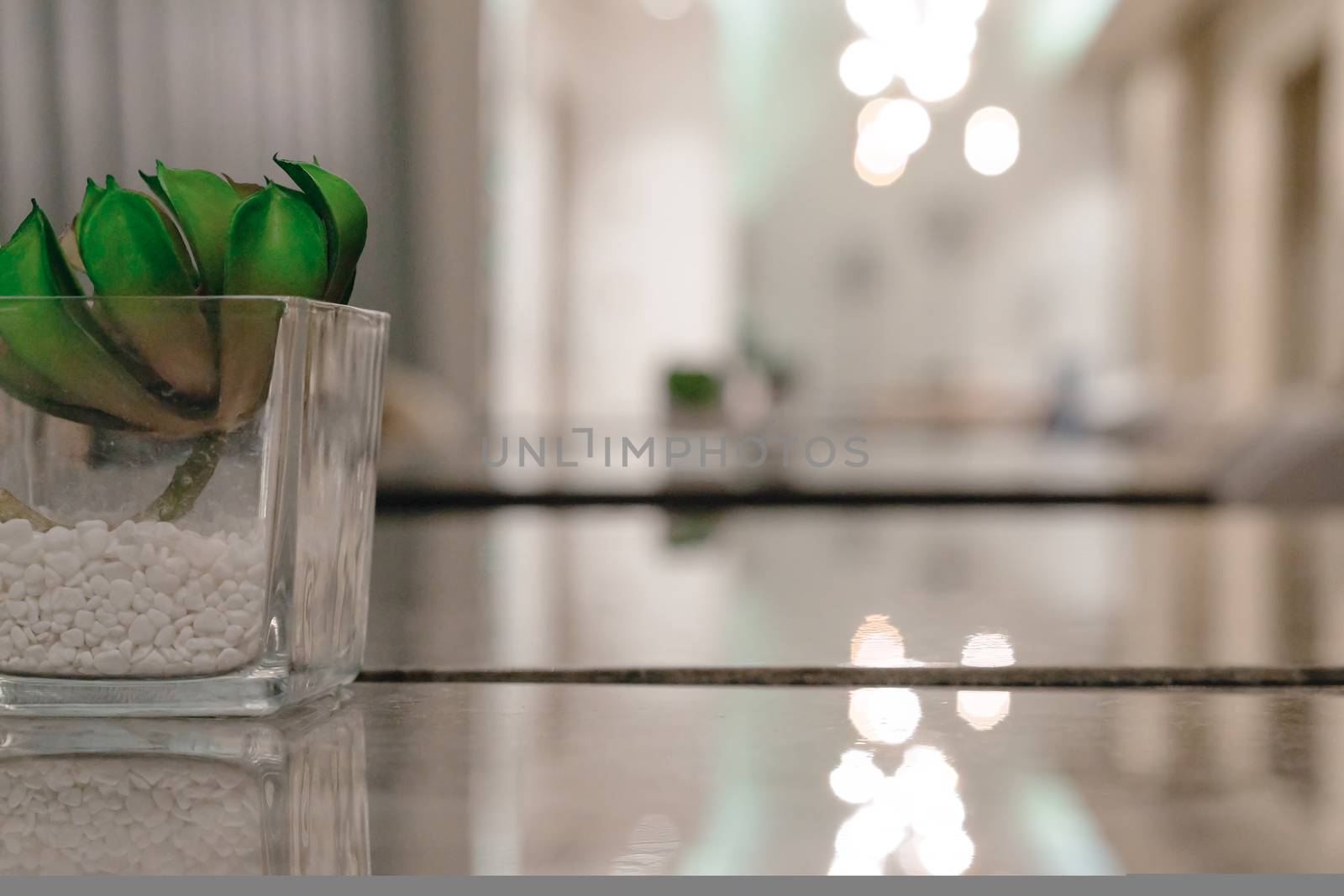 cactus pot on the desk in the living room, backgound with copy space concept