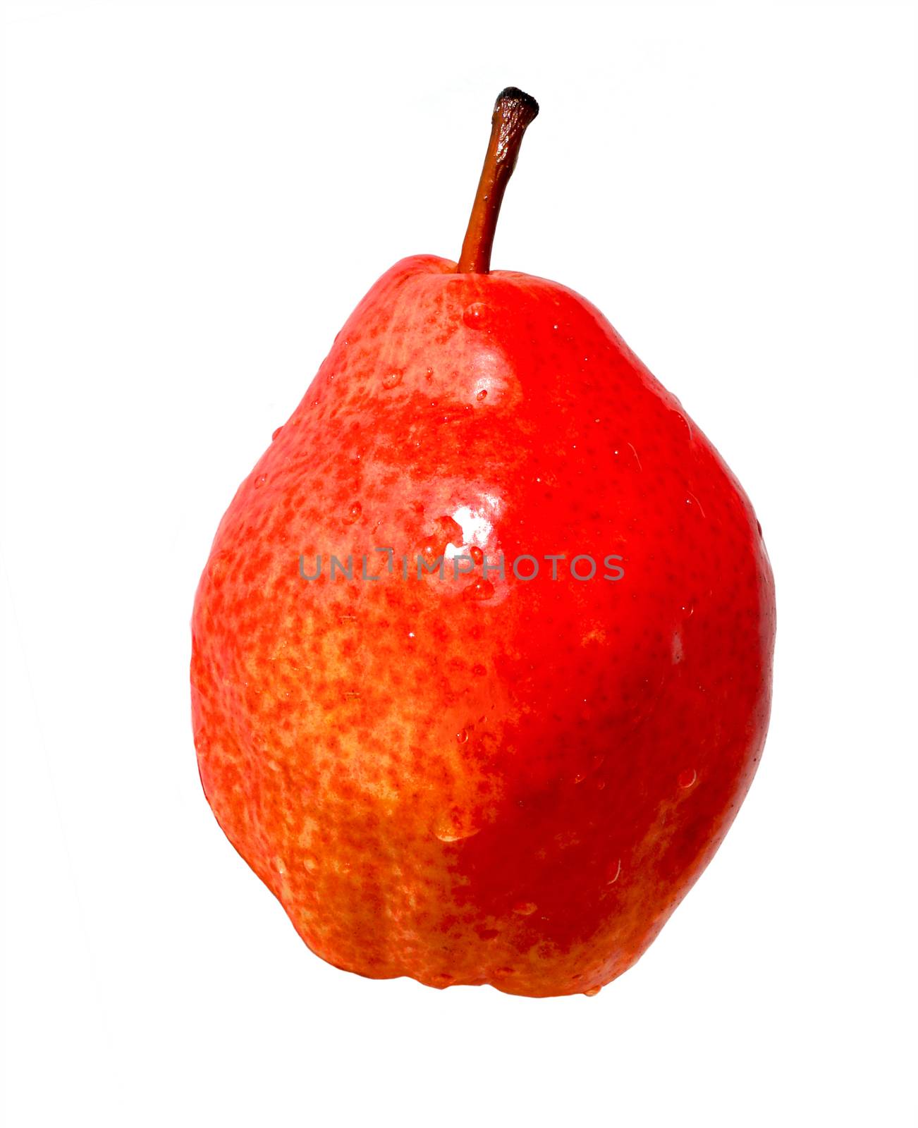 One red pear image isolated on white background