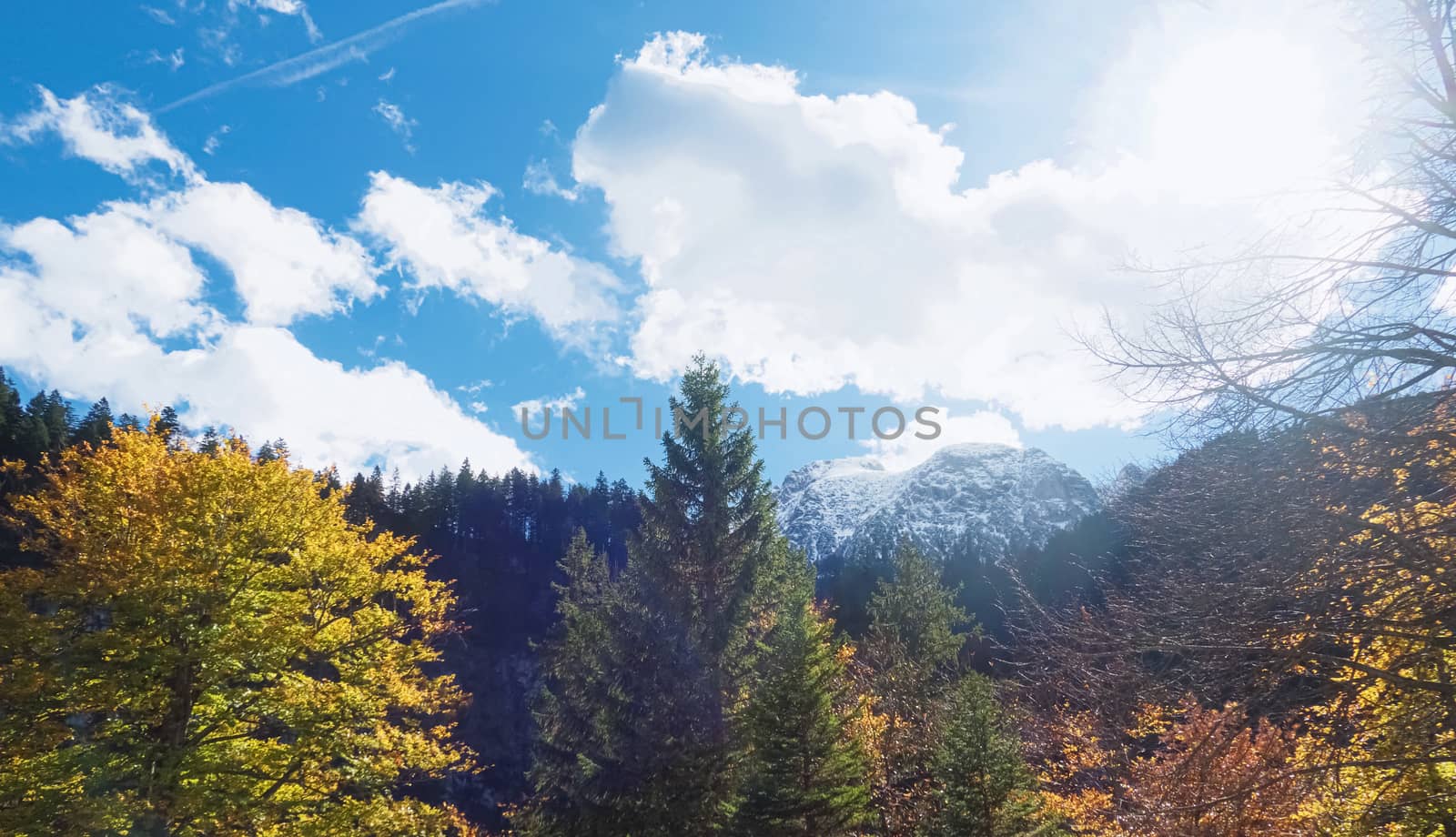 Beautiful nature of European Alps, landscape view of alpine mountains, lake and village on a sunny day, travel and destination scenery