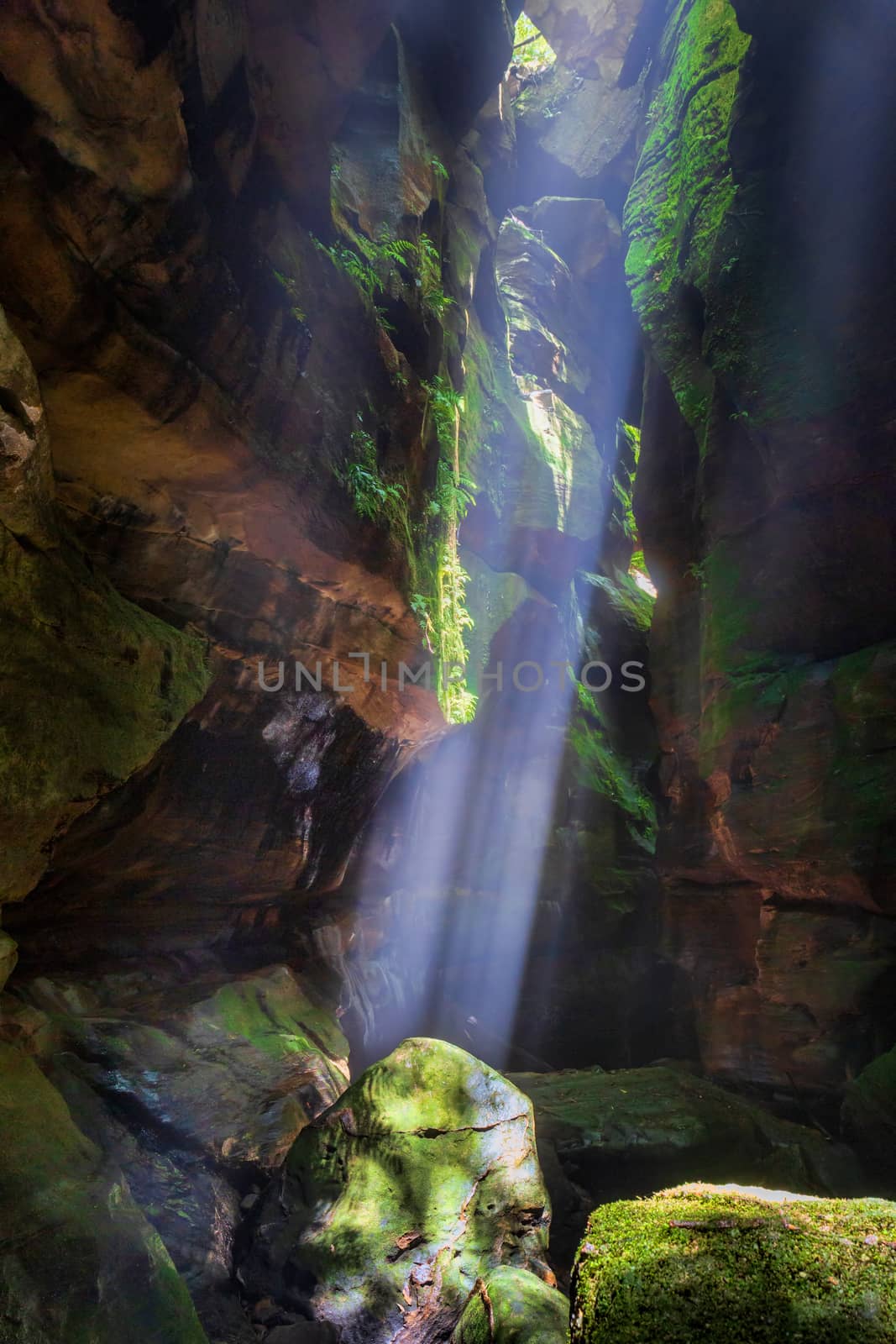 Light beams stream through like spot lights into the canyon in Blue Mountains Australia