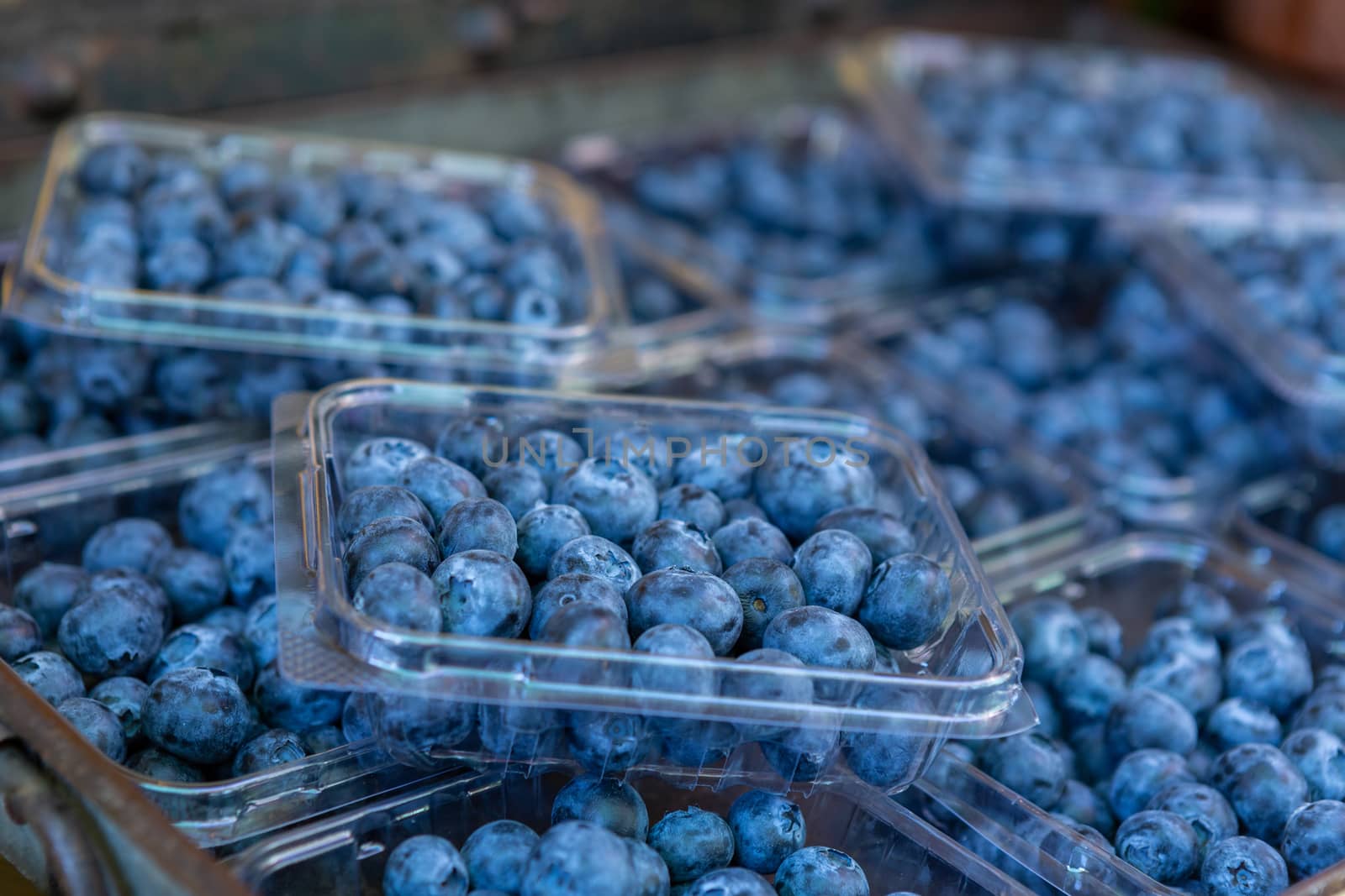 Selective focus of punnets of fresh juicy blueberries
