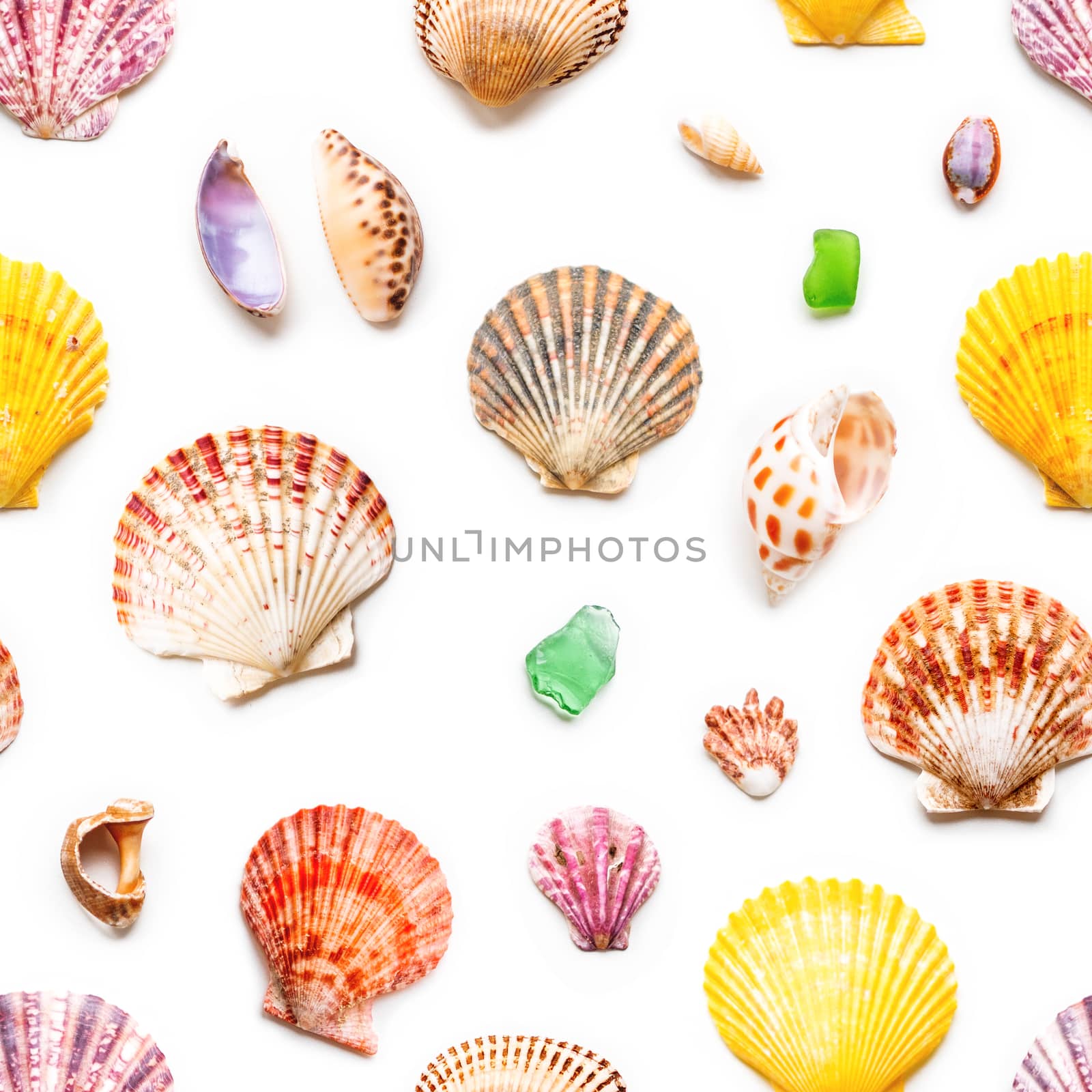 Seamless photo pattern with different sea shells. Flat lay with colorful mollusc shells, corals and wave-worn pieces of glass and stones. Top view on finds from ocean beach.