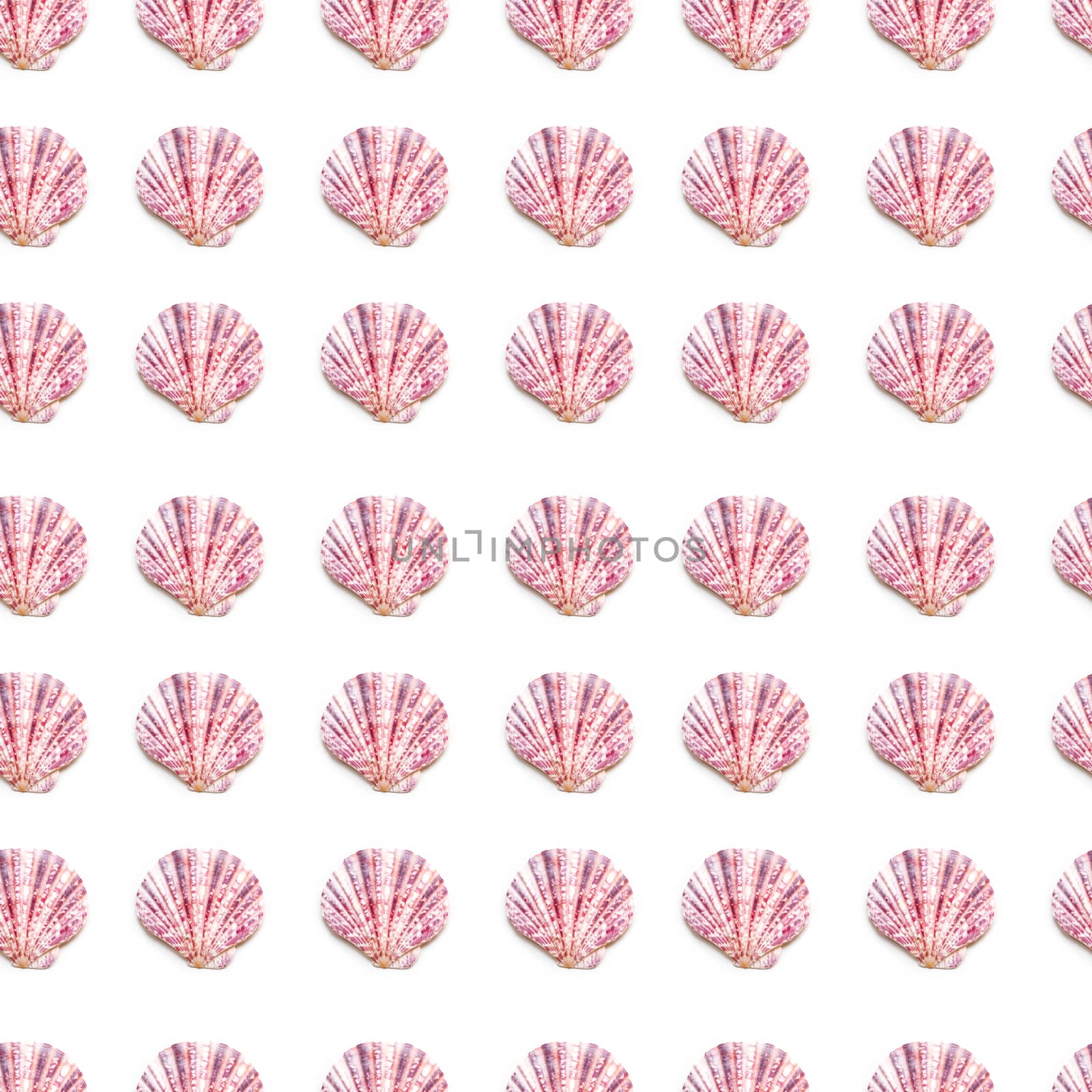 Seamless photo pattern with pink sea shells. Flat lay with purpl by aksenovko