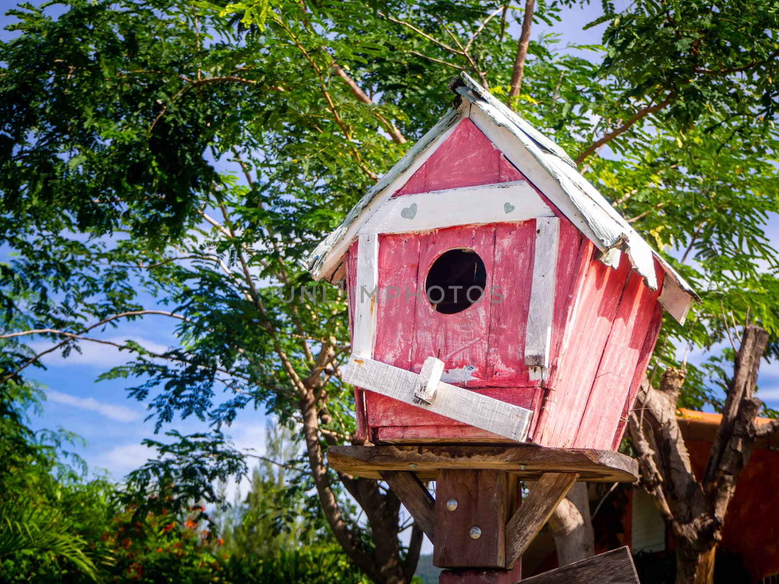 red Wooden bird house in the garden and tree