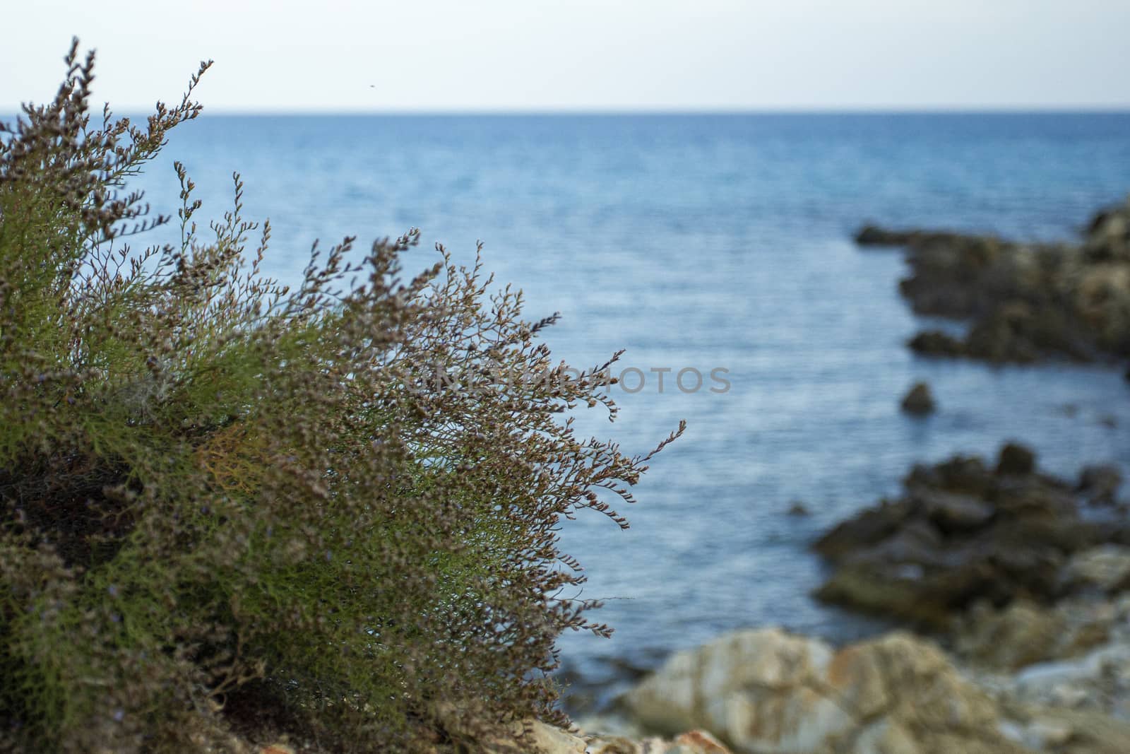 Sardinian natural Landscape and coastline in southern coast, Italy