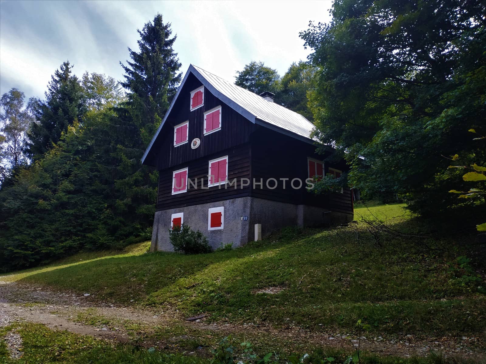 Wooden hut with red window blinds near Le Markstein mountain by pisces2386