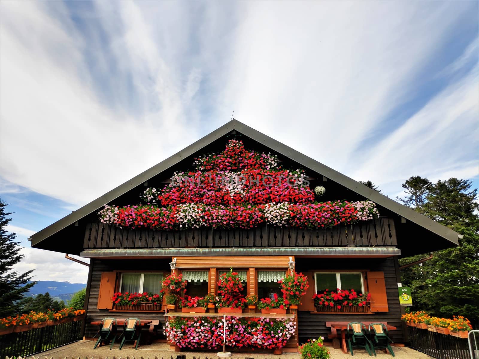 Wooden house with Geranium flowers and interesting cloud formation spotted in Sondernach near Schnepfenried, France