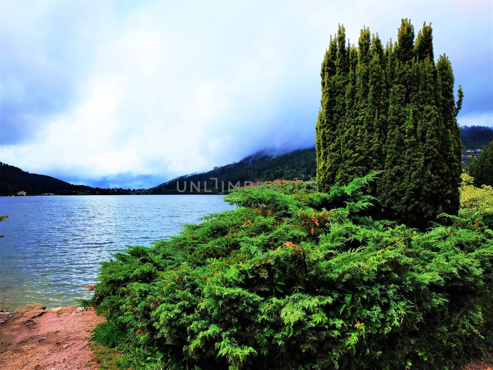 Green bushes in front of blue Lake Gerardmer by pisces2386