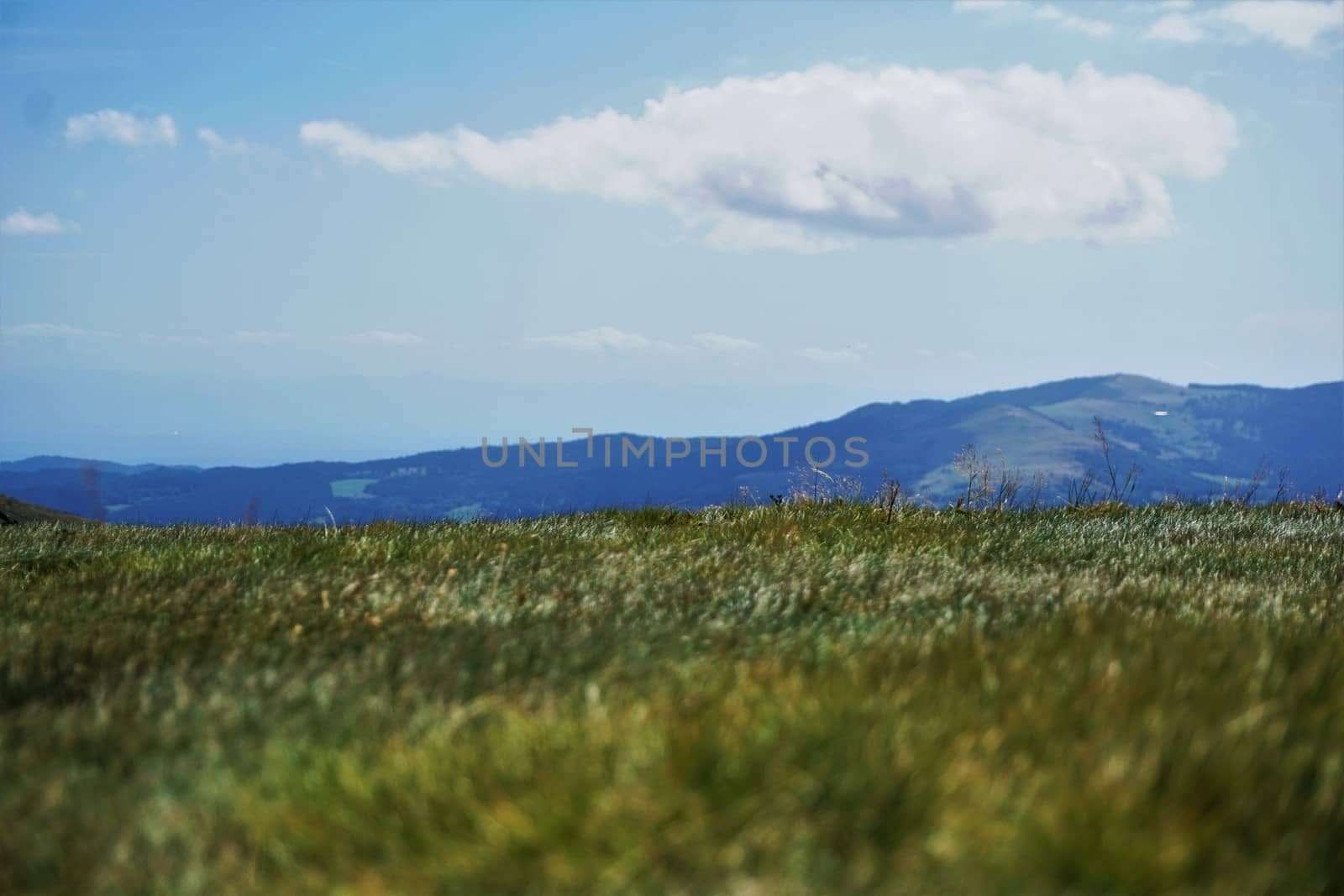 View over grass plain to the hills of the Vosges with white clouds and blue sky by pisces2386