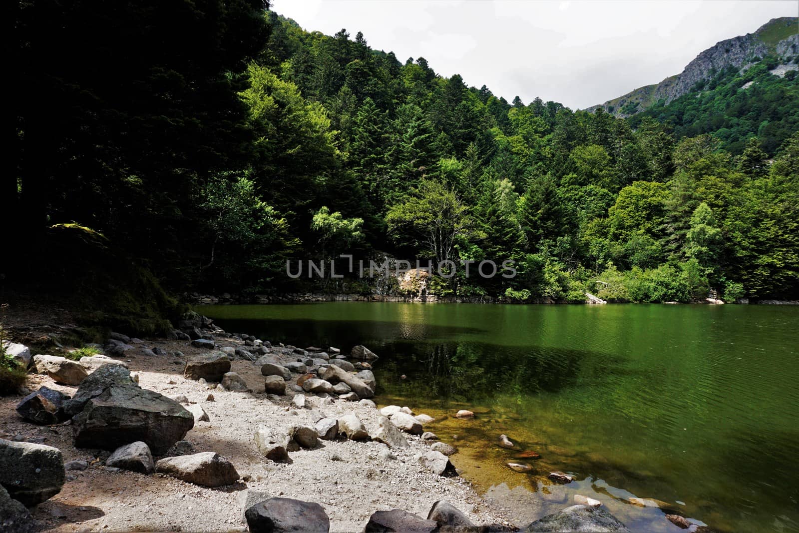 White sand on the shore of Schiessrothried lake in the Vosges, France