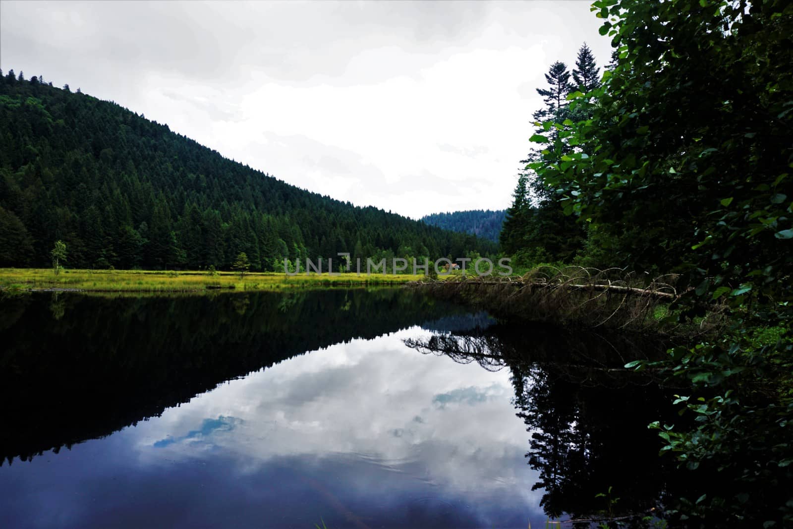 Sky and tree reflecting in almost black Lispach lake near La Bresse, France