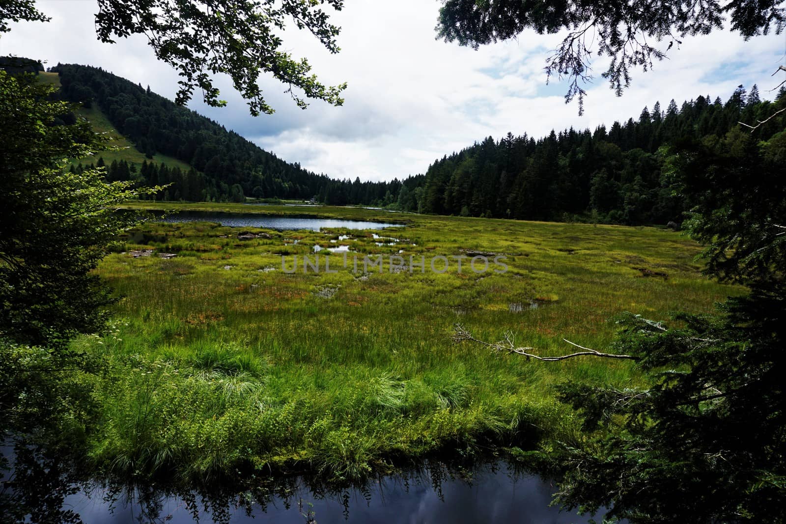Panoramic view over Lac de Lispach in the Vosges near La Bresse, France