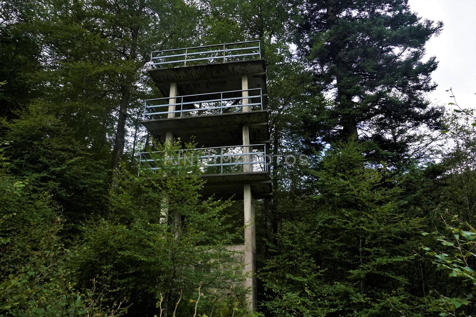 Ruin of a tower made of concrete with guardrail spotted in the forest in the Vosges, France