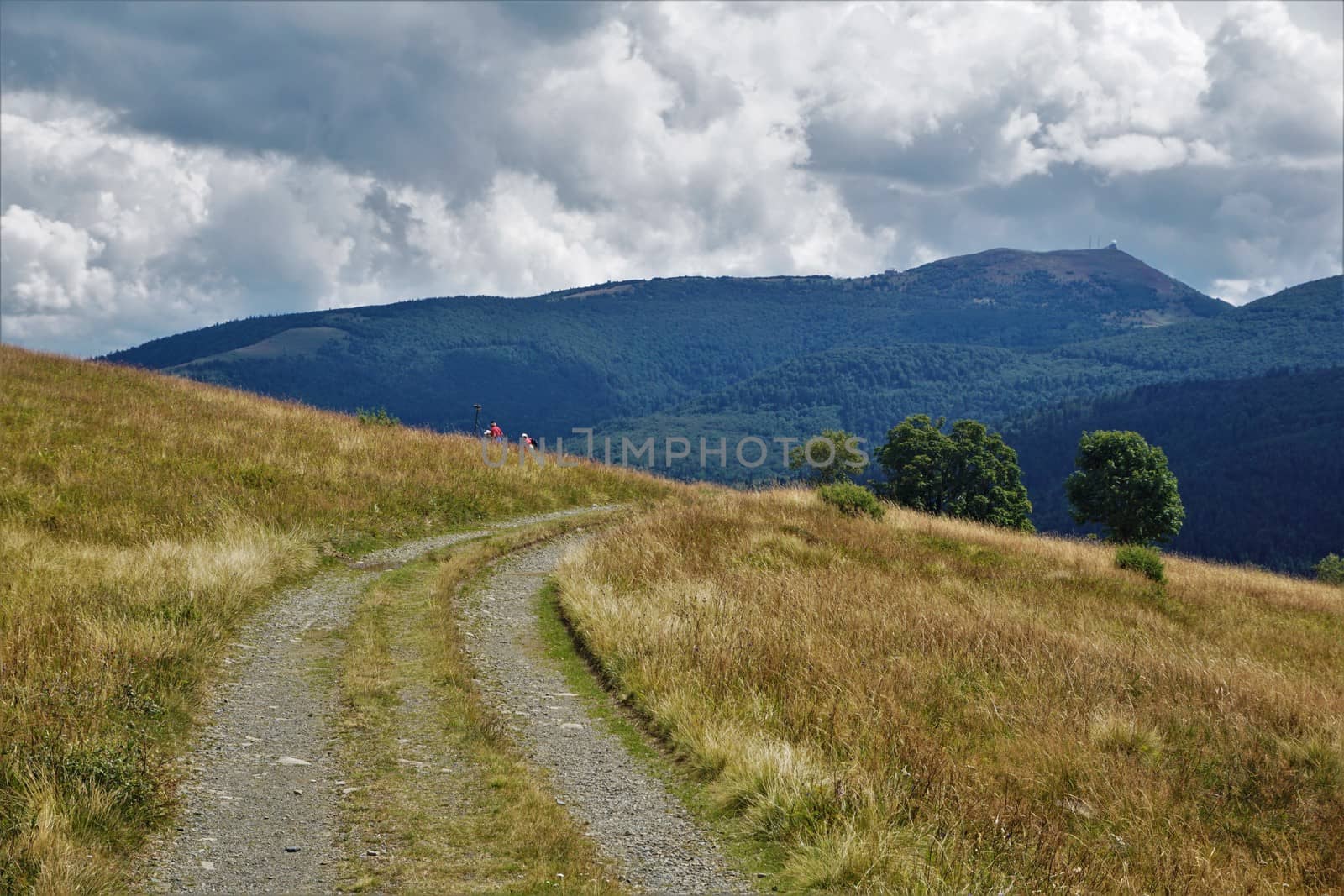 View over hills of the Vosges with dirt road near Le Markstein by pisces2386