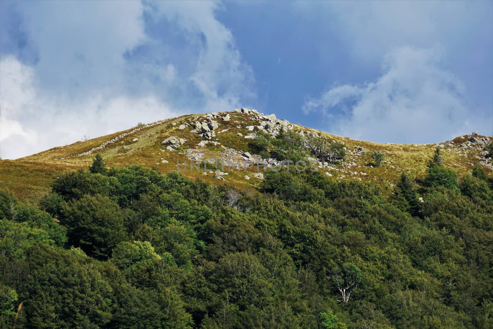 Rocky mountain peak spotted in the Vosges, France