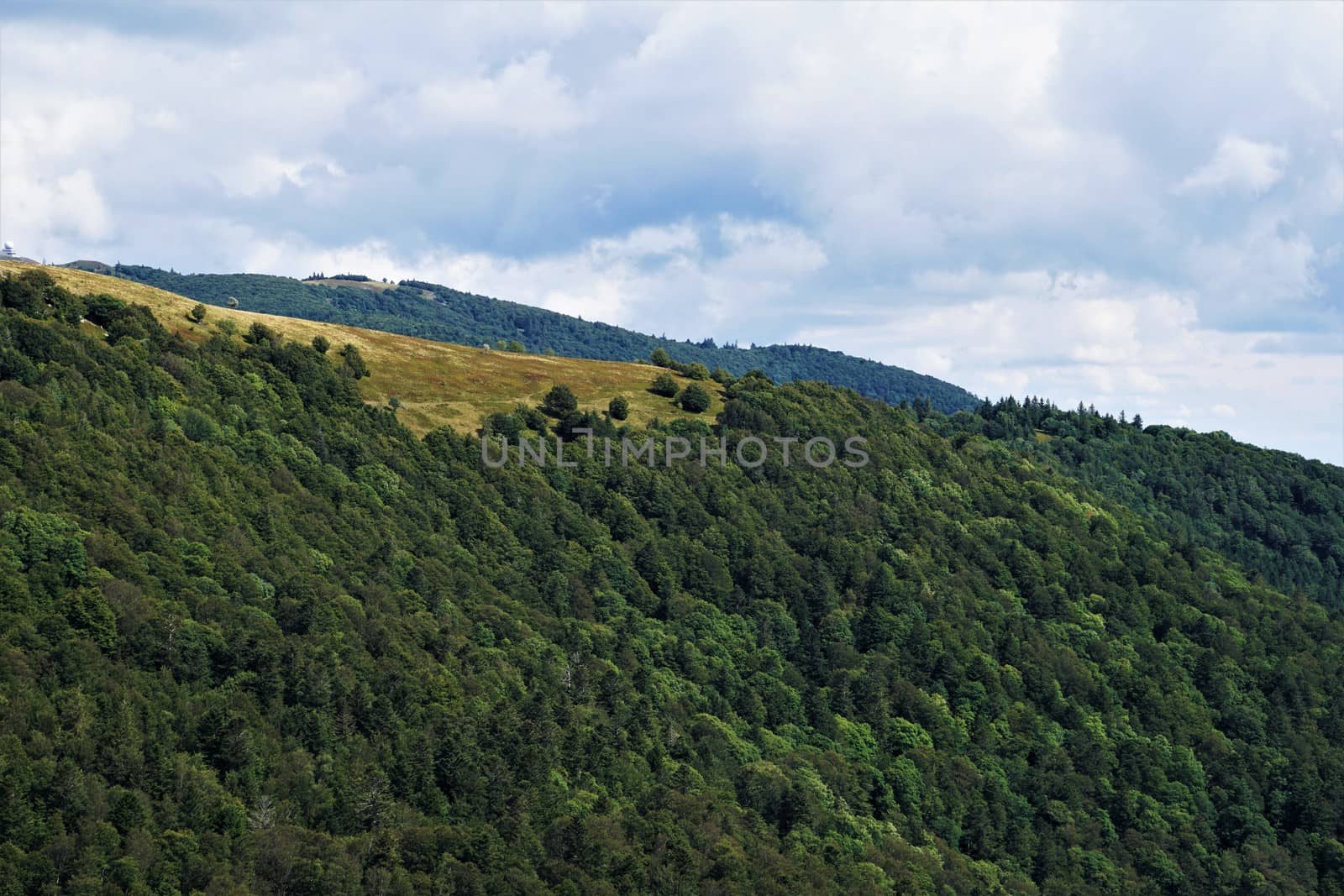 Tree less mountain tops with forest at the flanks spotted in the Vosges, France