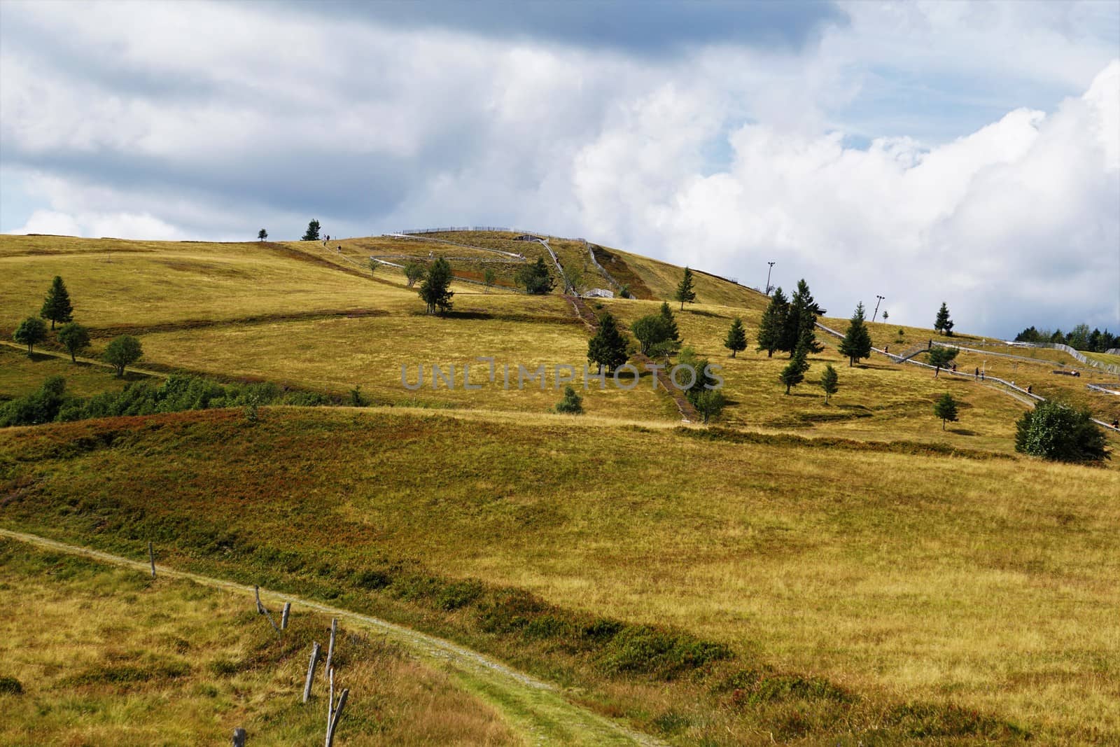 Summer bob track on Le Markstein mountain in the Vosges, France