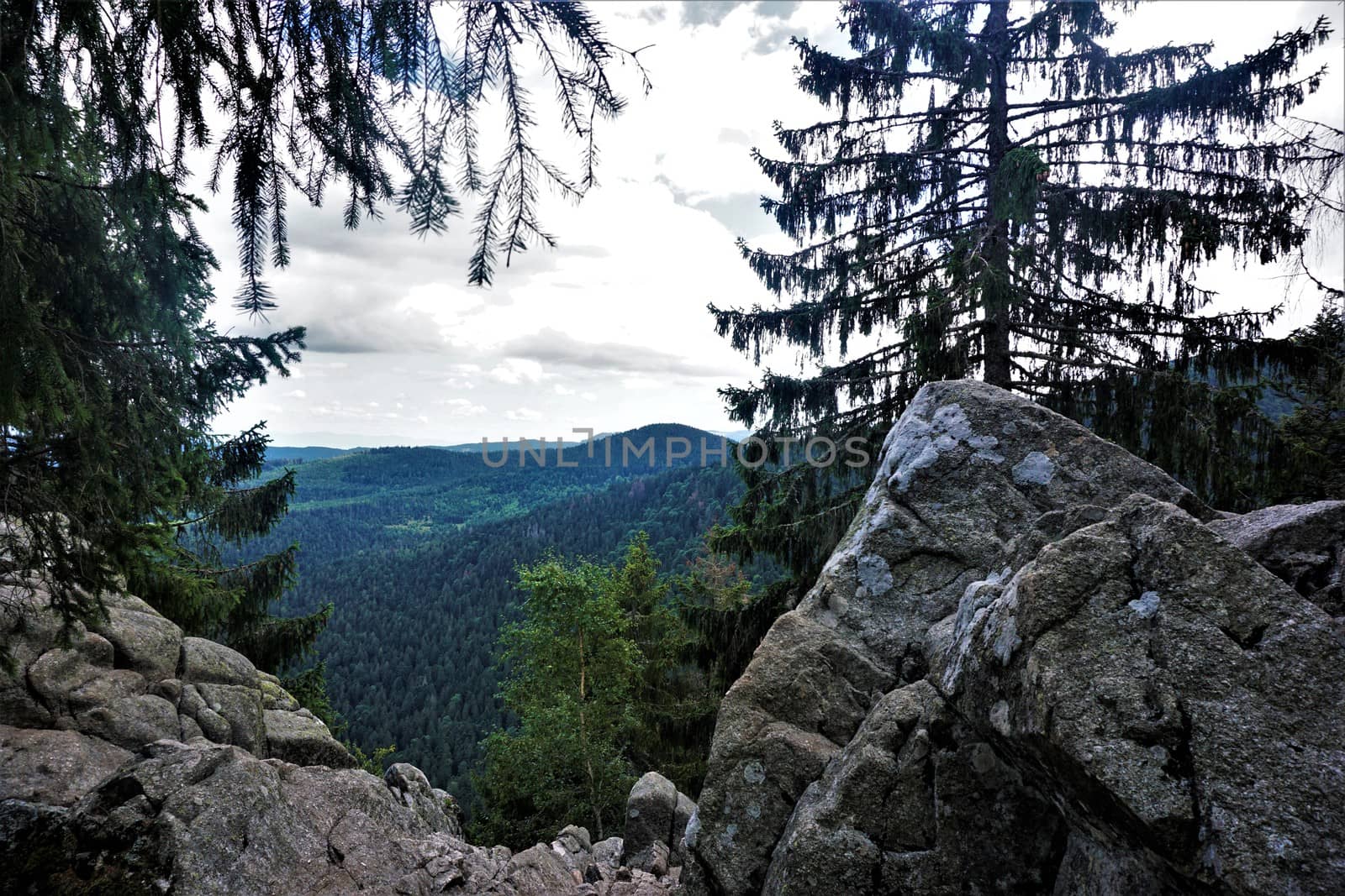 Panorama of the Vosges from the Sentiers des Roches near the Col de la Schlucht by pisces2386