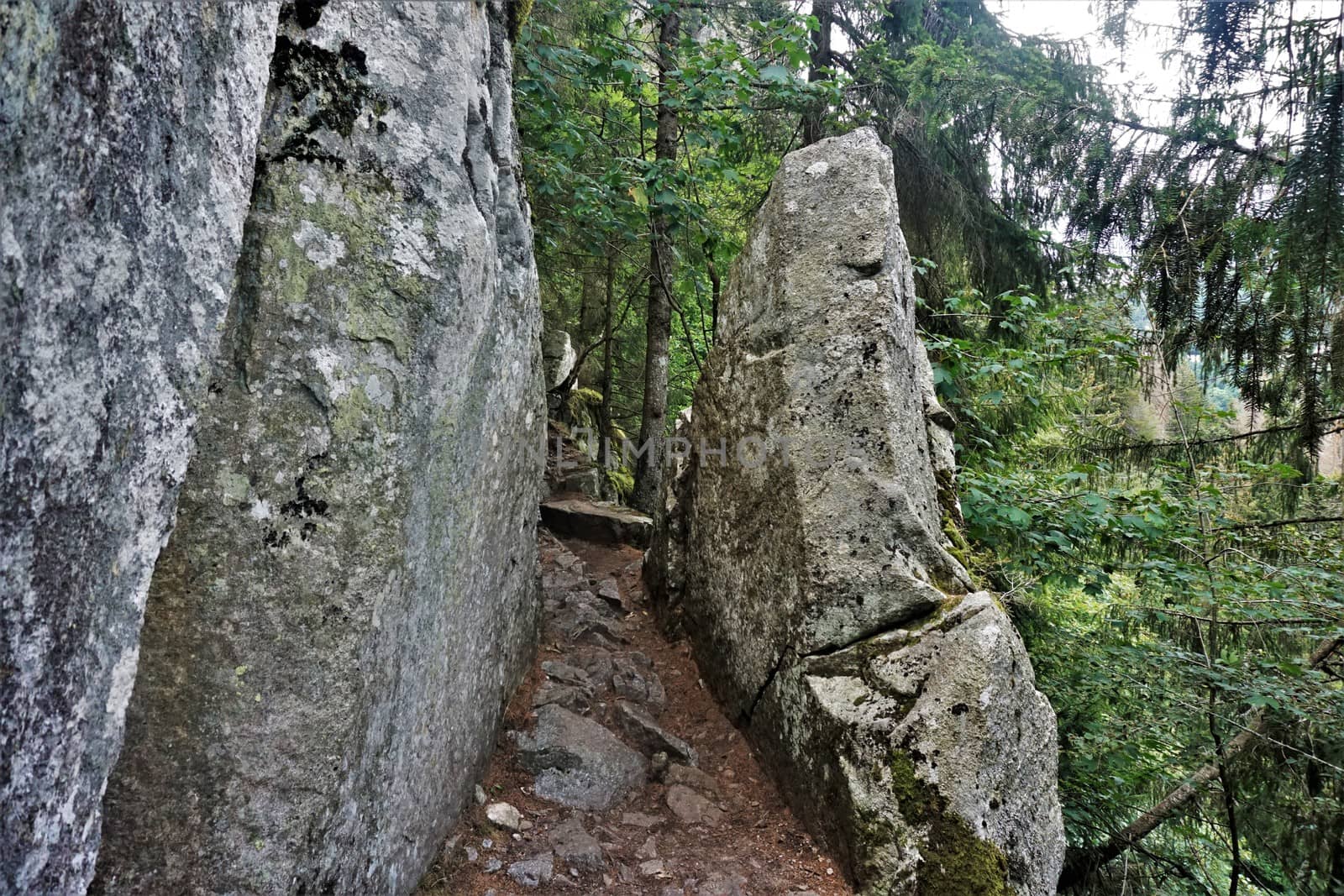 Footpath between two massive rocks on the Sentiers des Roches in the Vosges by pisces2386