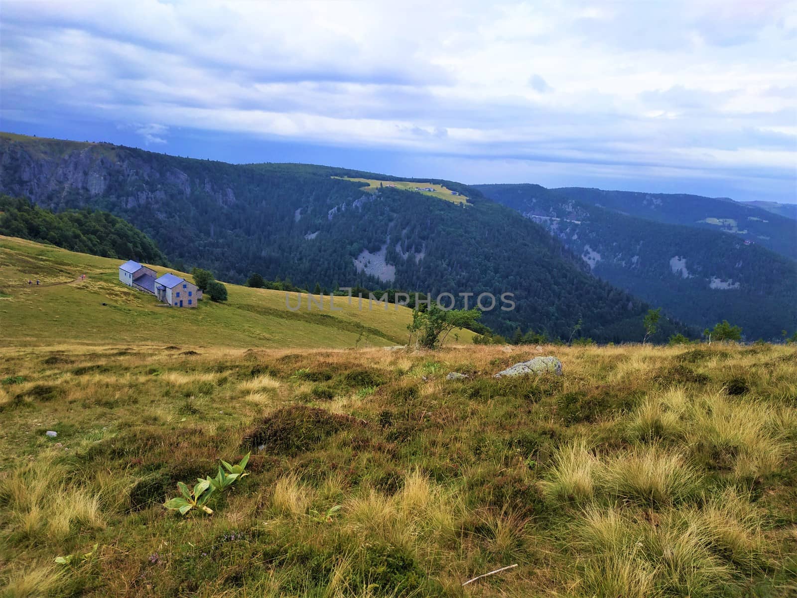 Panorama view over gentle hills in the Vosges region by pisces2386