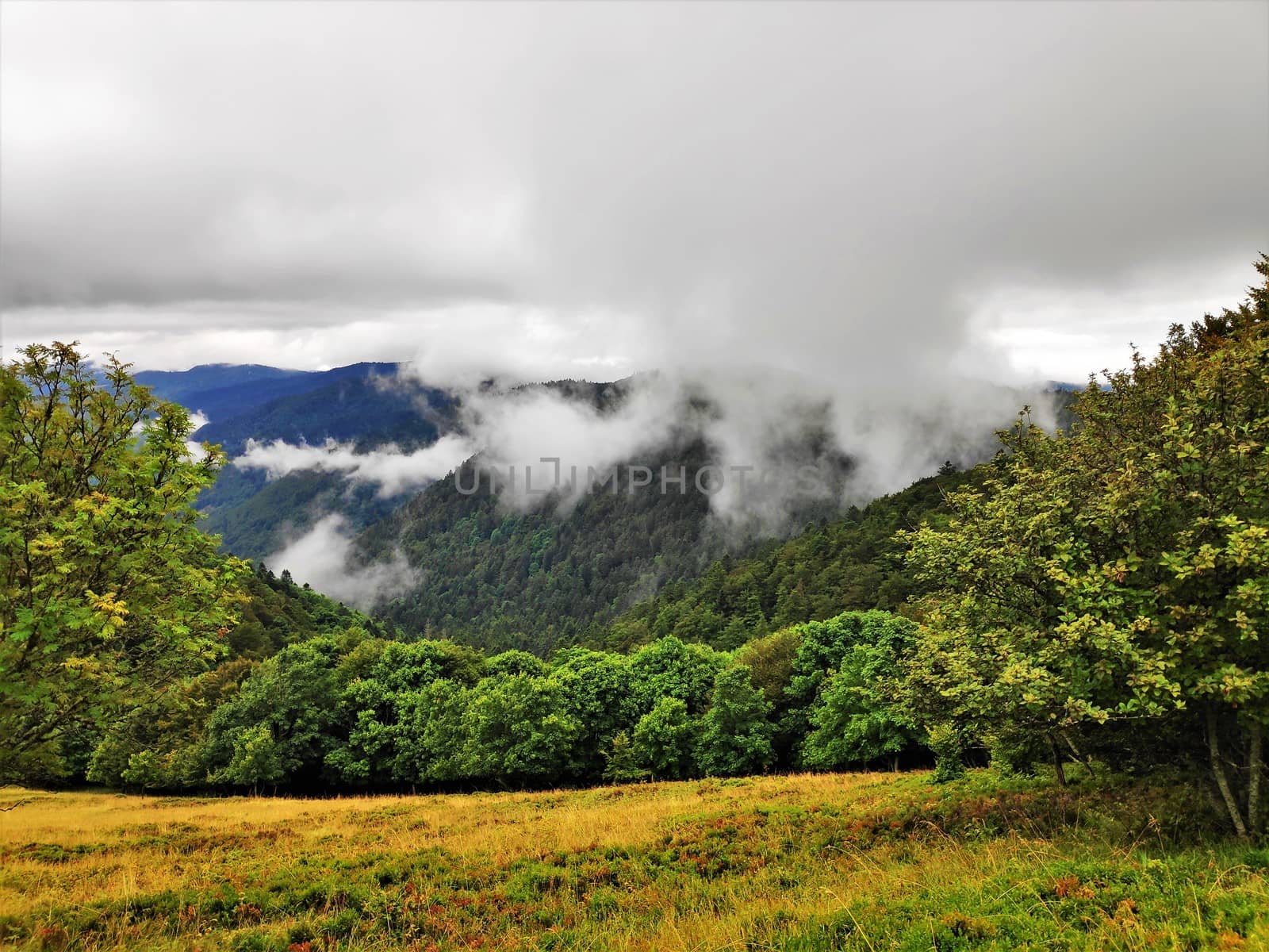 Panoramic view over some hills of the Vosges on a cloudy day by pisces2386