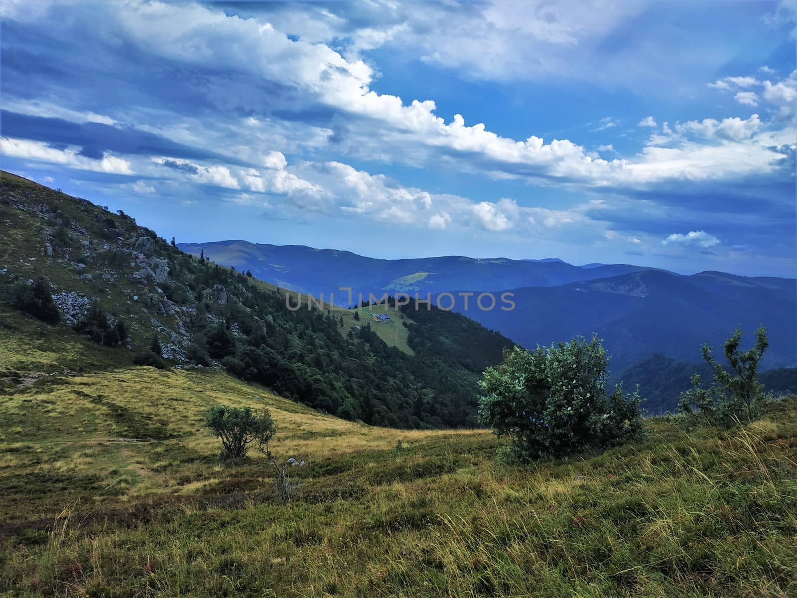 Breath-taking view over gentle hills with beautiful alps in the Vosges region by pisces2386